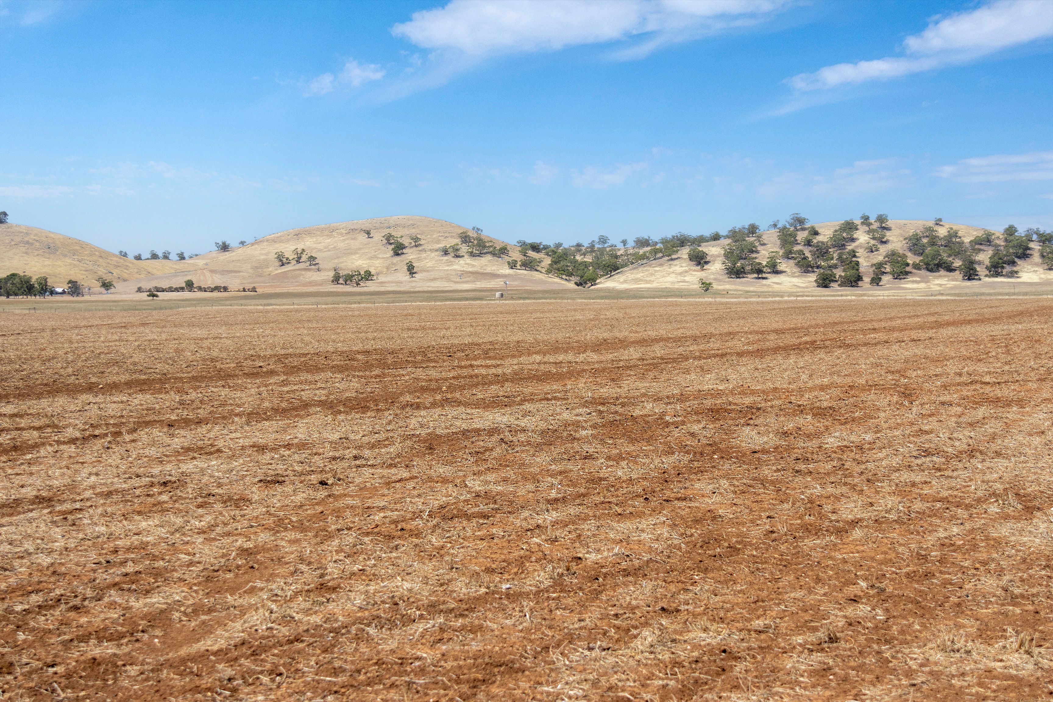 'Wiluna' Hughes Park Road, Hoyleton, SA 5453