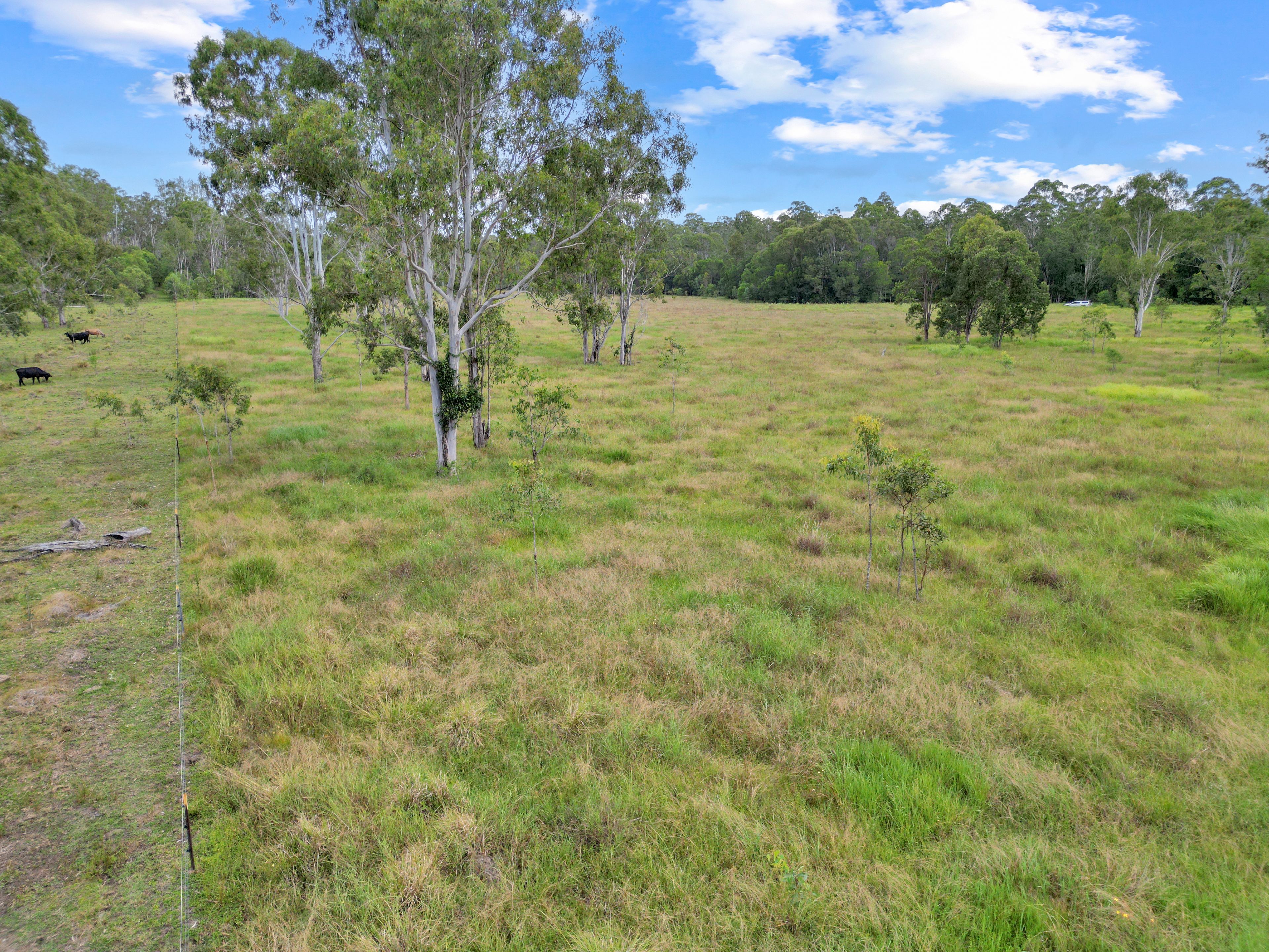 Lot 145 Ellangowan Myrtle Creek Road Ellangowan Via — photo 9 of 11