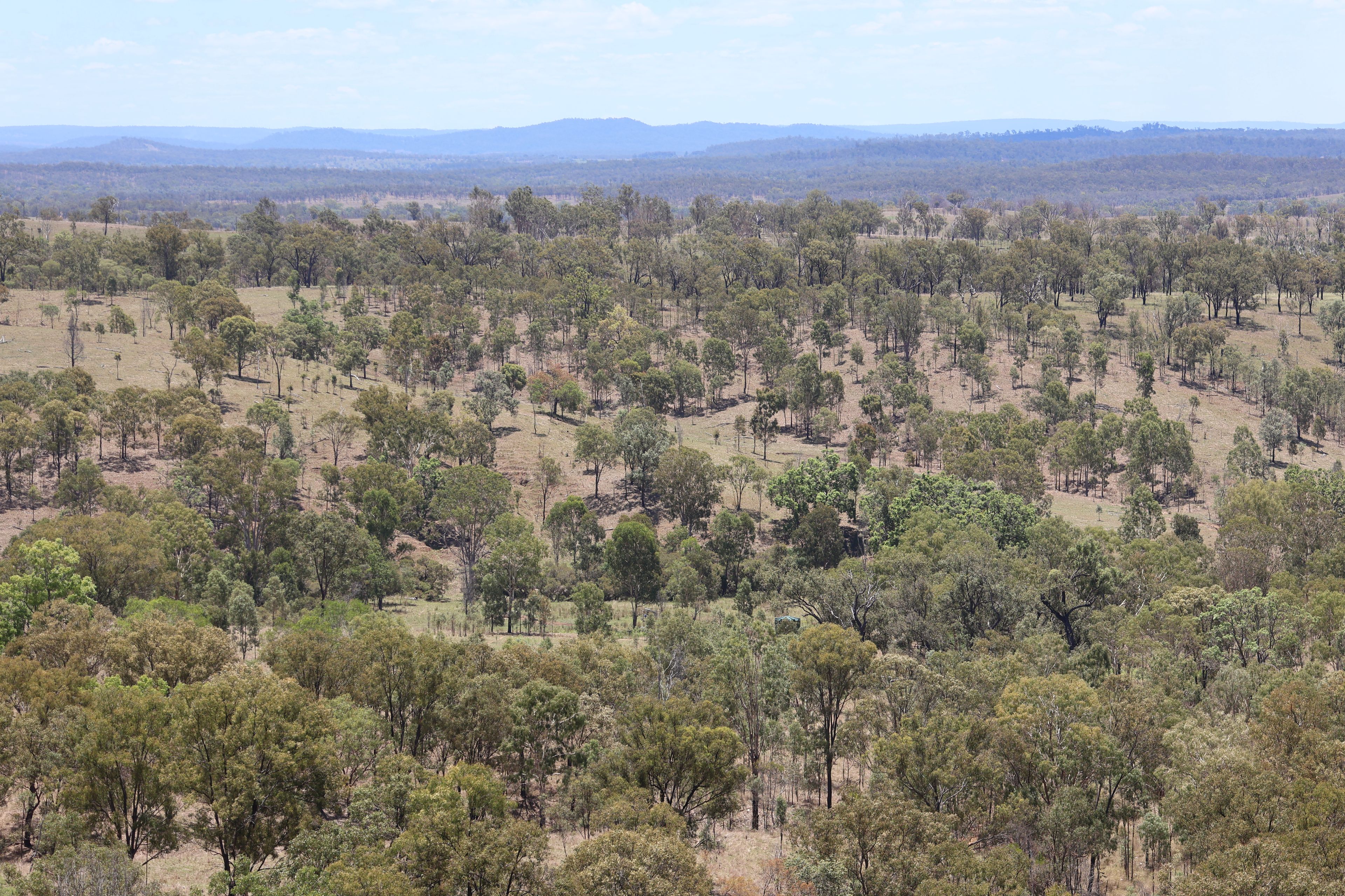 Lot 33, 34 & 35 Bilboolan Road, Mungy — photo 14 of 18