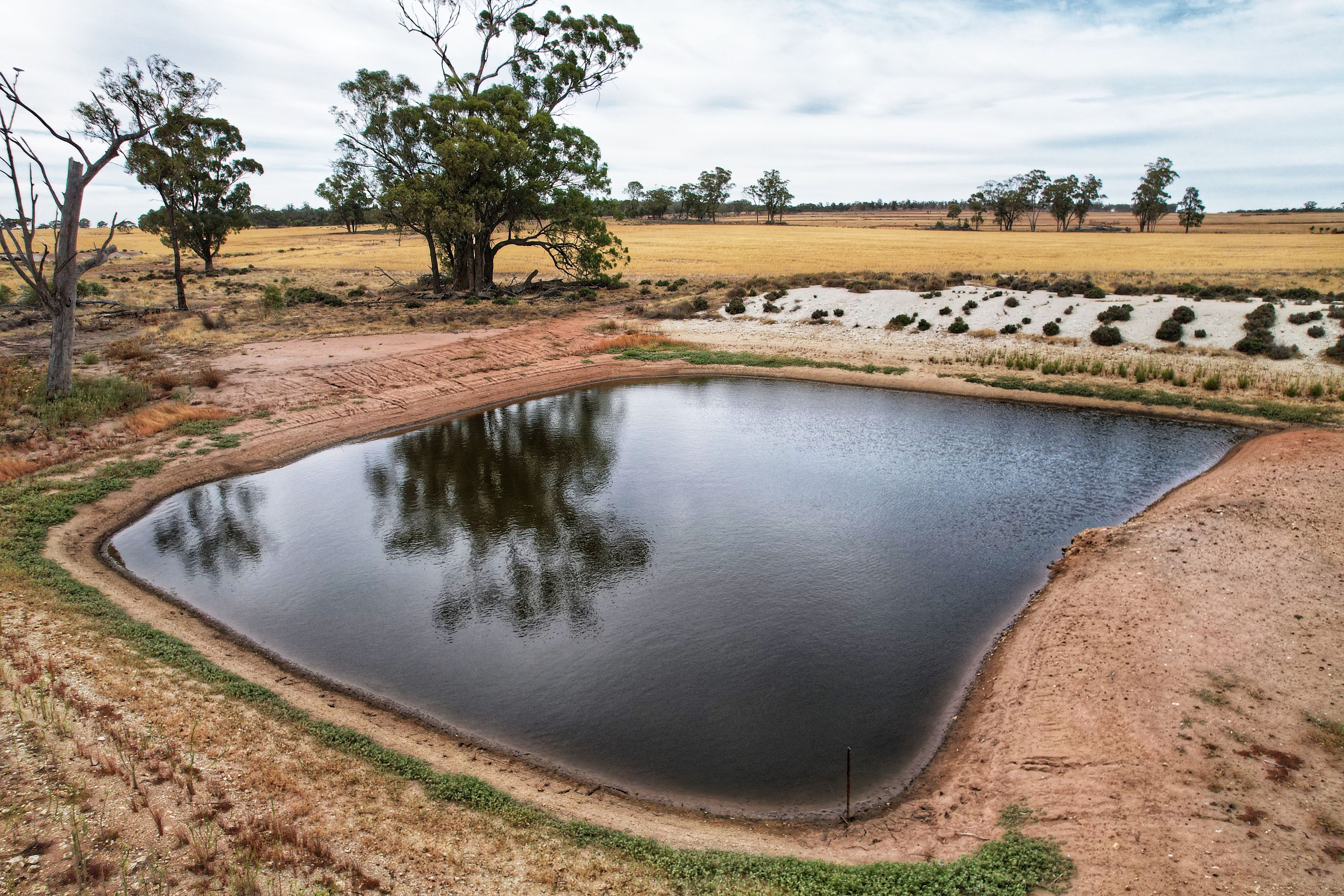 'Maryvale' 598 Lewes Road, Weethalle, NSW 2669