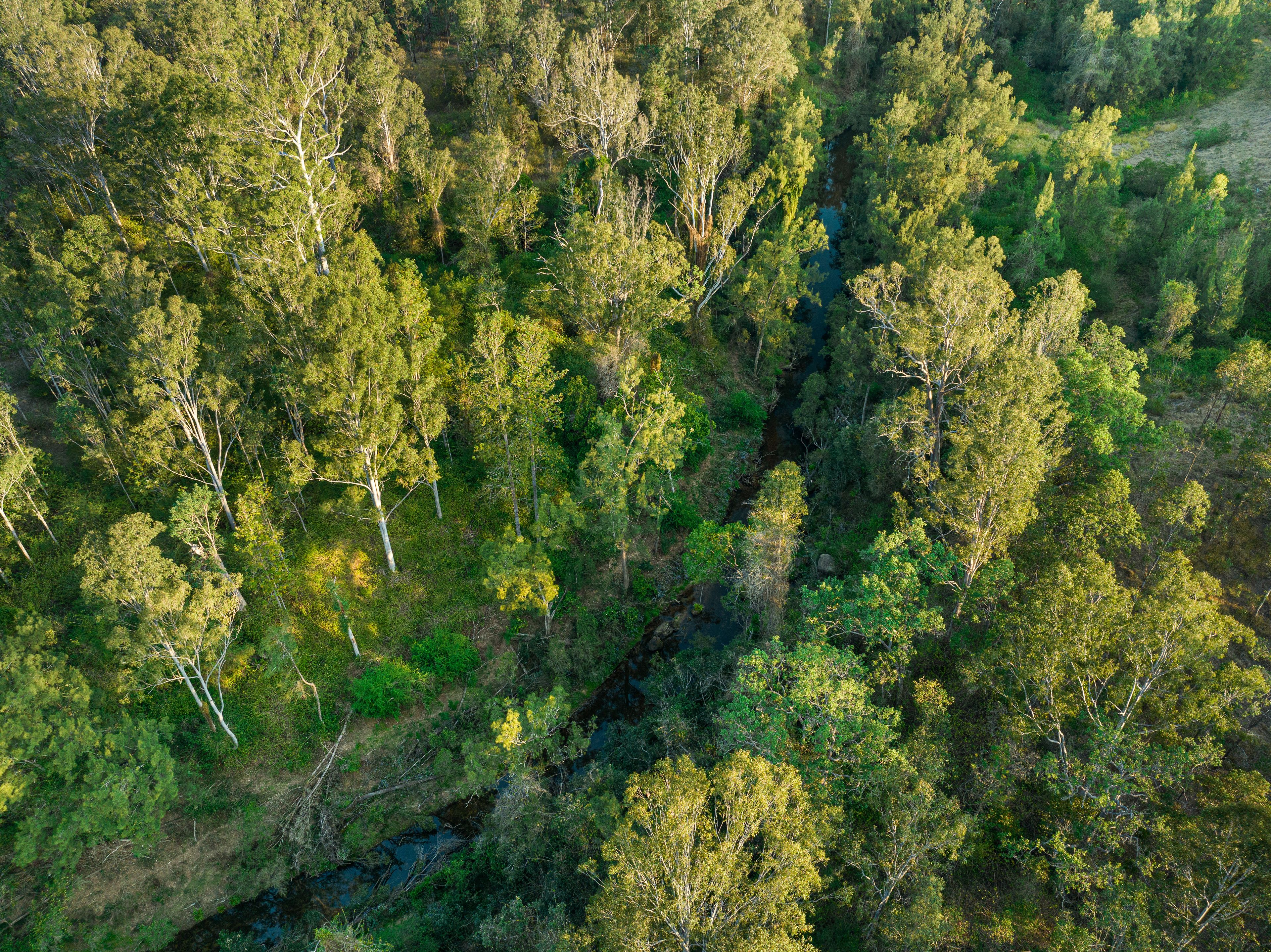 624B Tabulam Road, Tabulam, NSW 2469