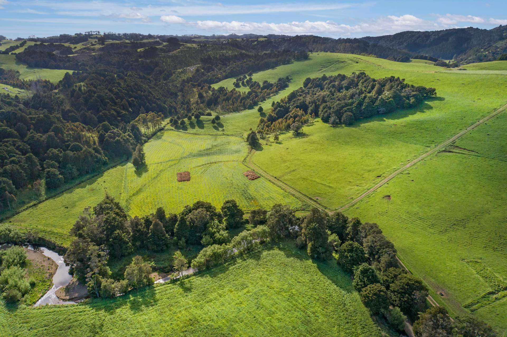 0 Russell Road Airstrip Block photo 1