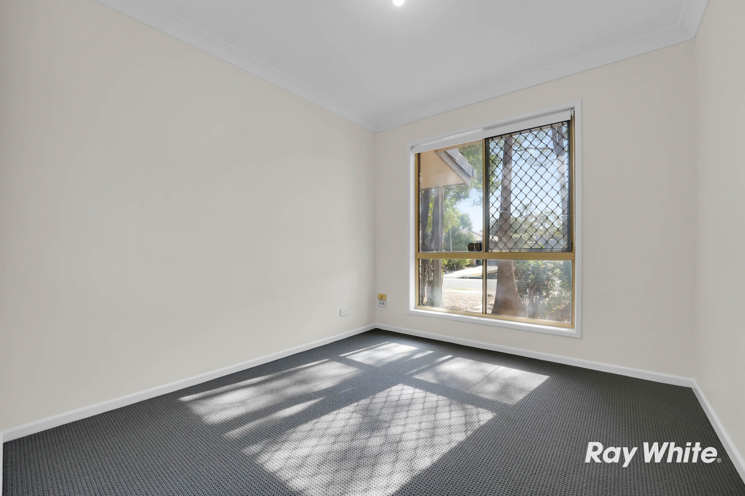 14 Dombeyah Street — photo 12 of 26