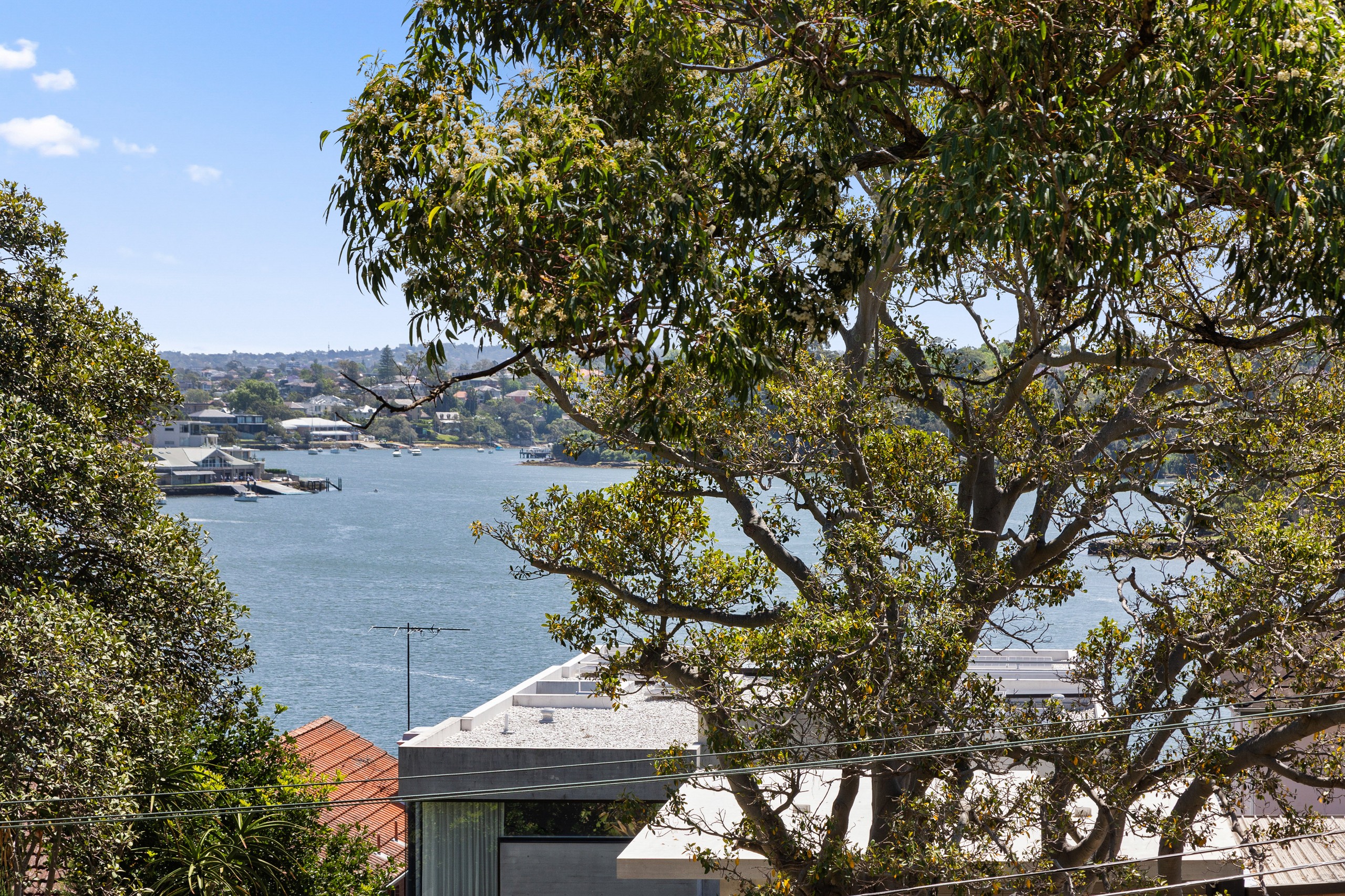 19 Fortescue Street, Chiswick, NSW 2046