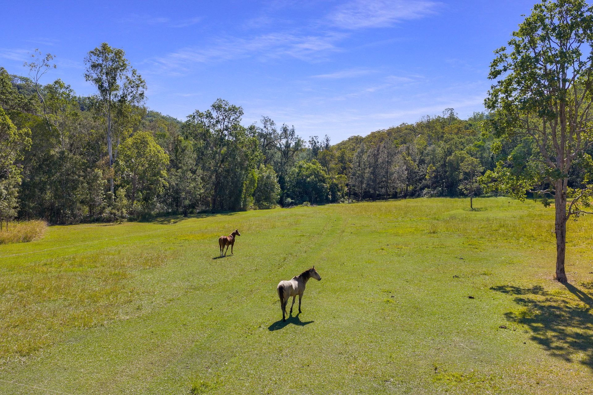 Peaceful Off-Grid Escape Along Amamoor Creek — photo 4 of 16