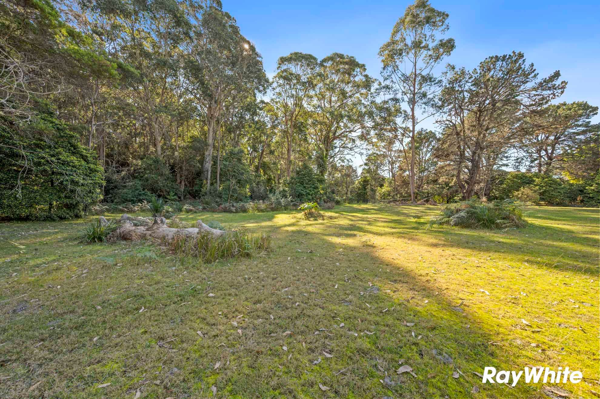 498 North Head Drive — photo 8 of 15
