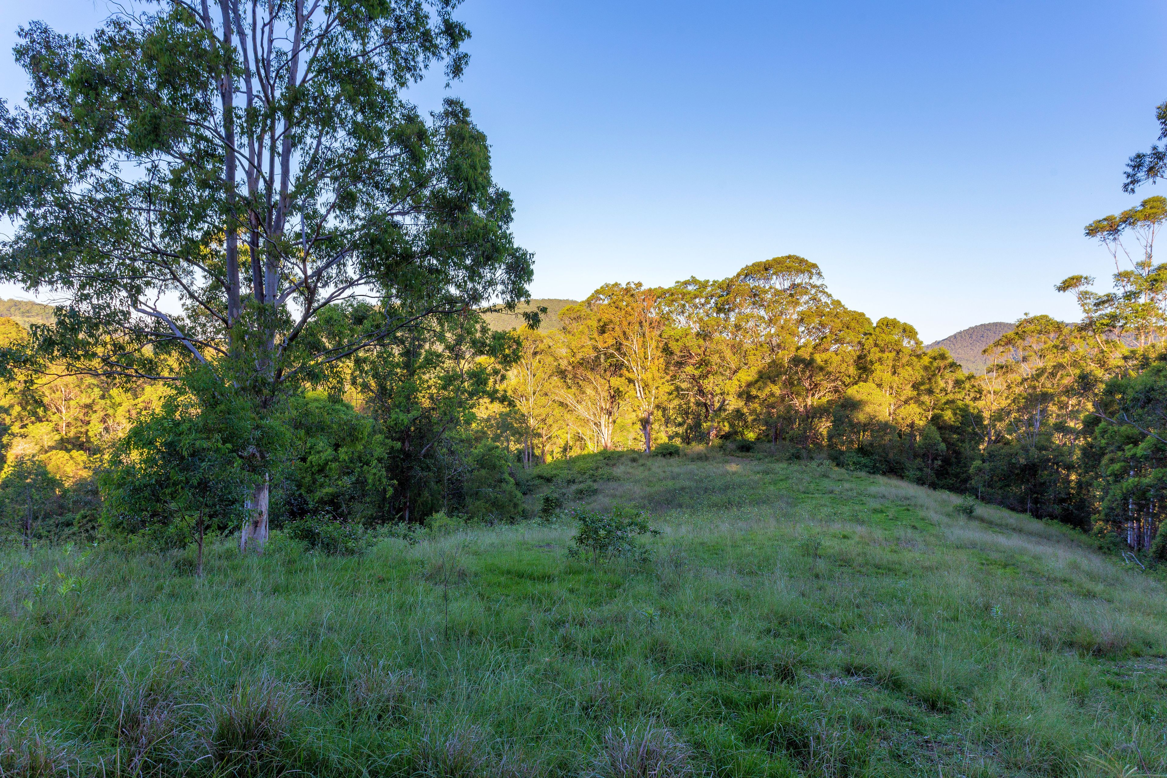 Lot 150 & 151 Black Flat Lane, WHERROL FLAT, NSW 2429
