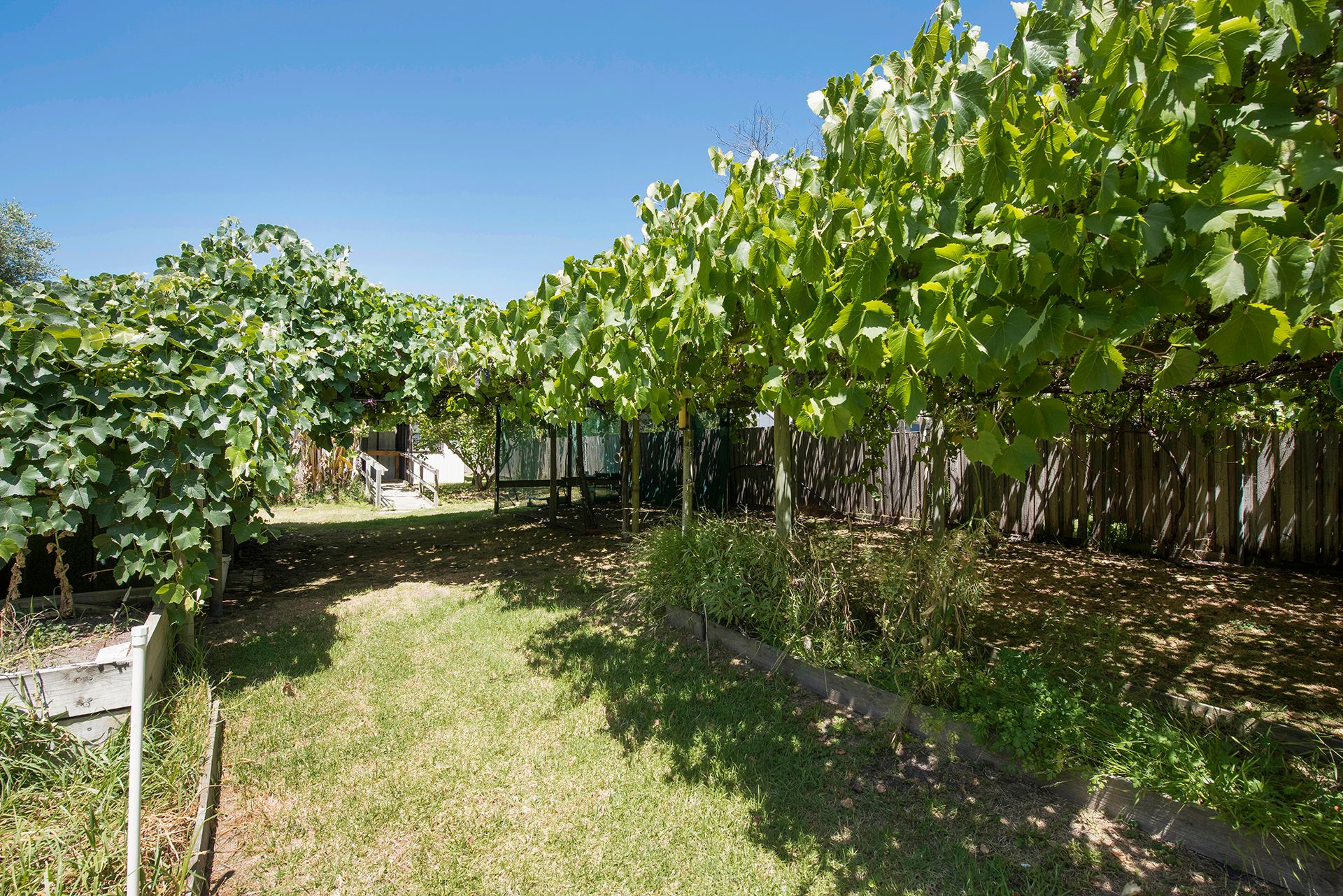 82 Warranilla Avenue, Rosebud, VIC 3939