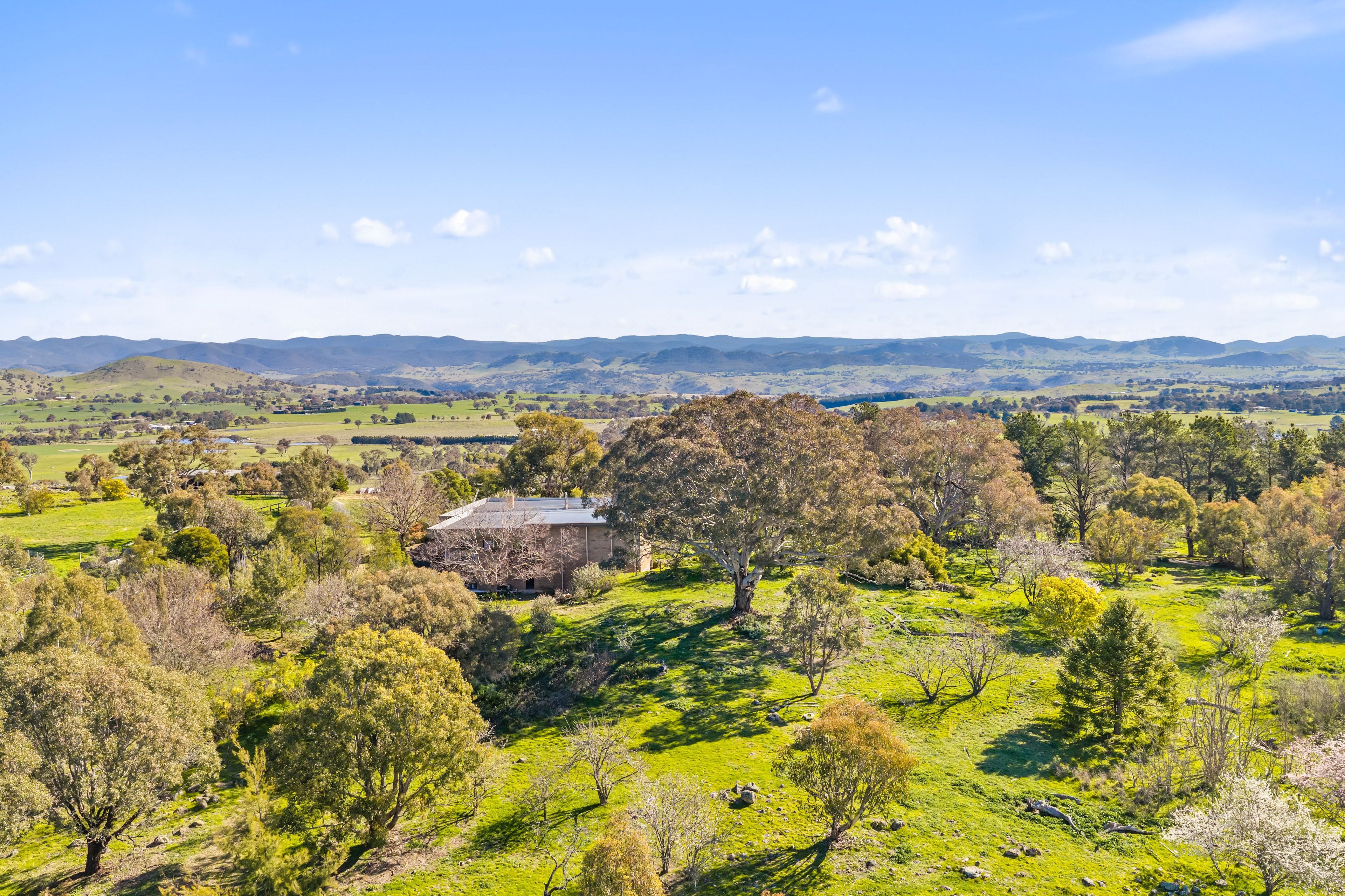 103 Captains Hill Road — photo from Ray White Canberra