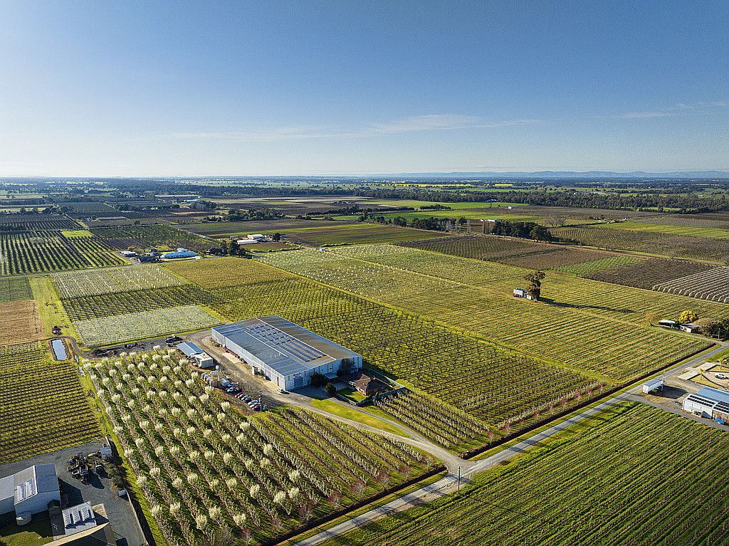 Ray White Rural Victoria