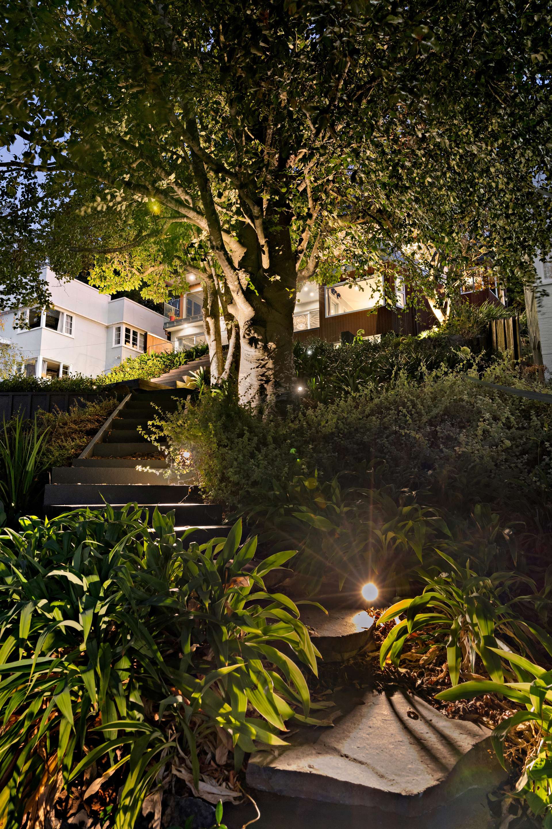 13 Sadgrove Terrace photo 39