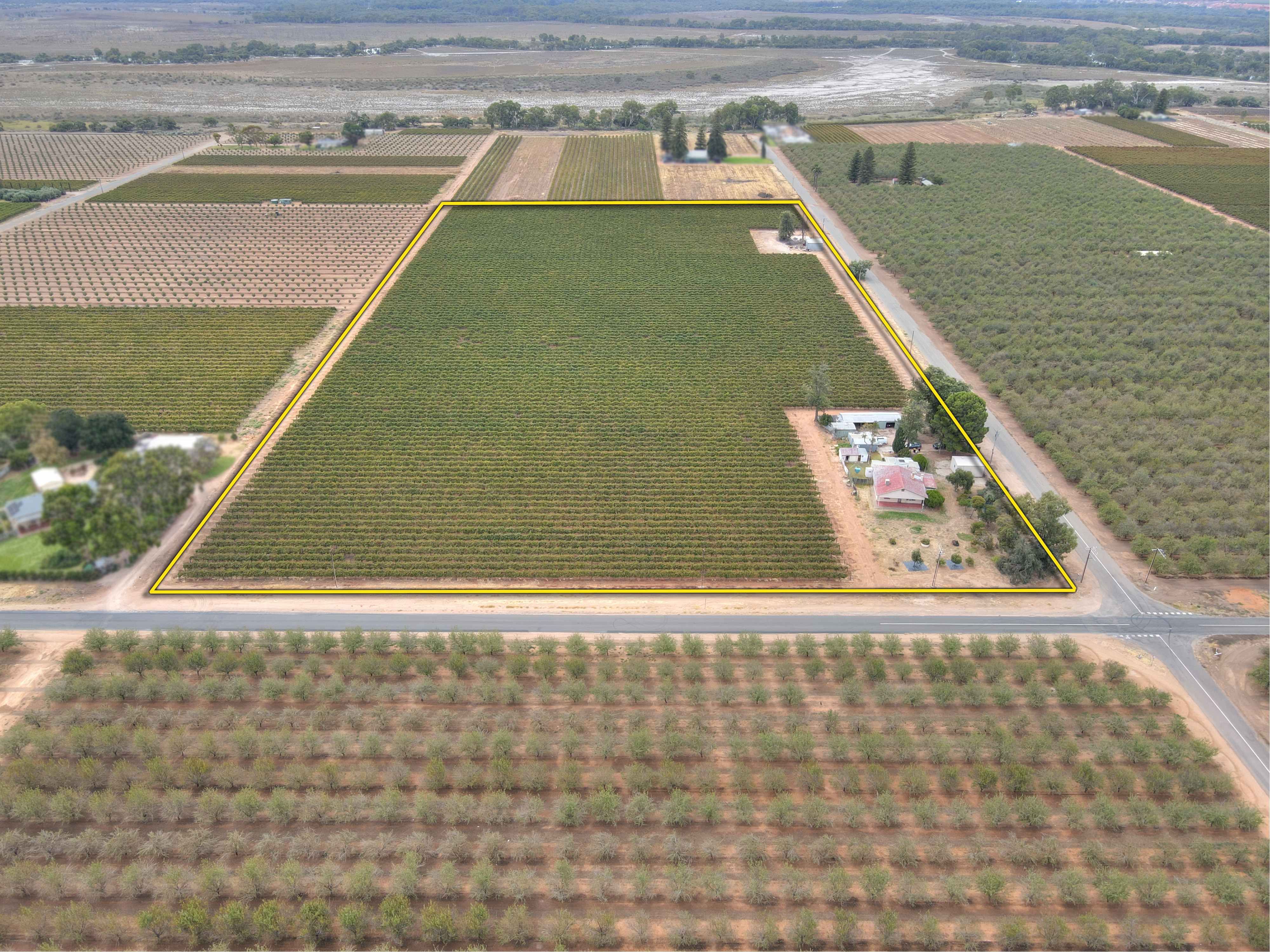 177 Begara Street, Renmark, SA 5341