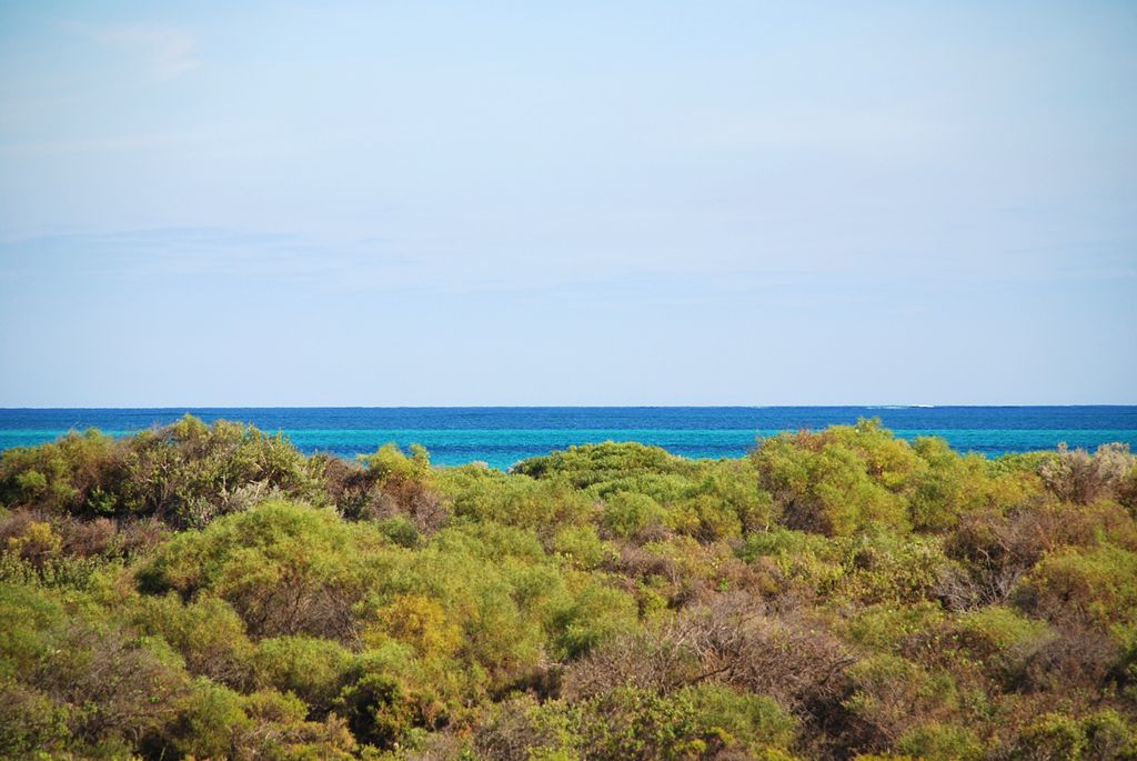 Lot 377, 43 Eucalypt Way, Jurien Bay, WA 6516