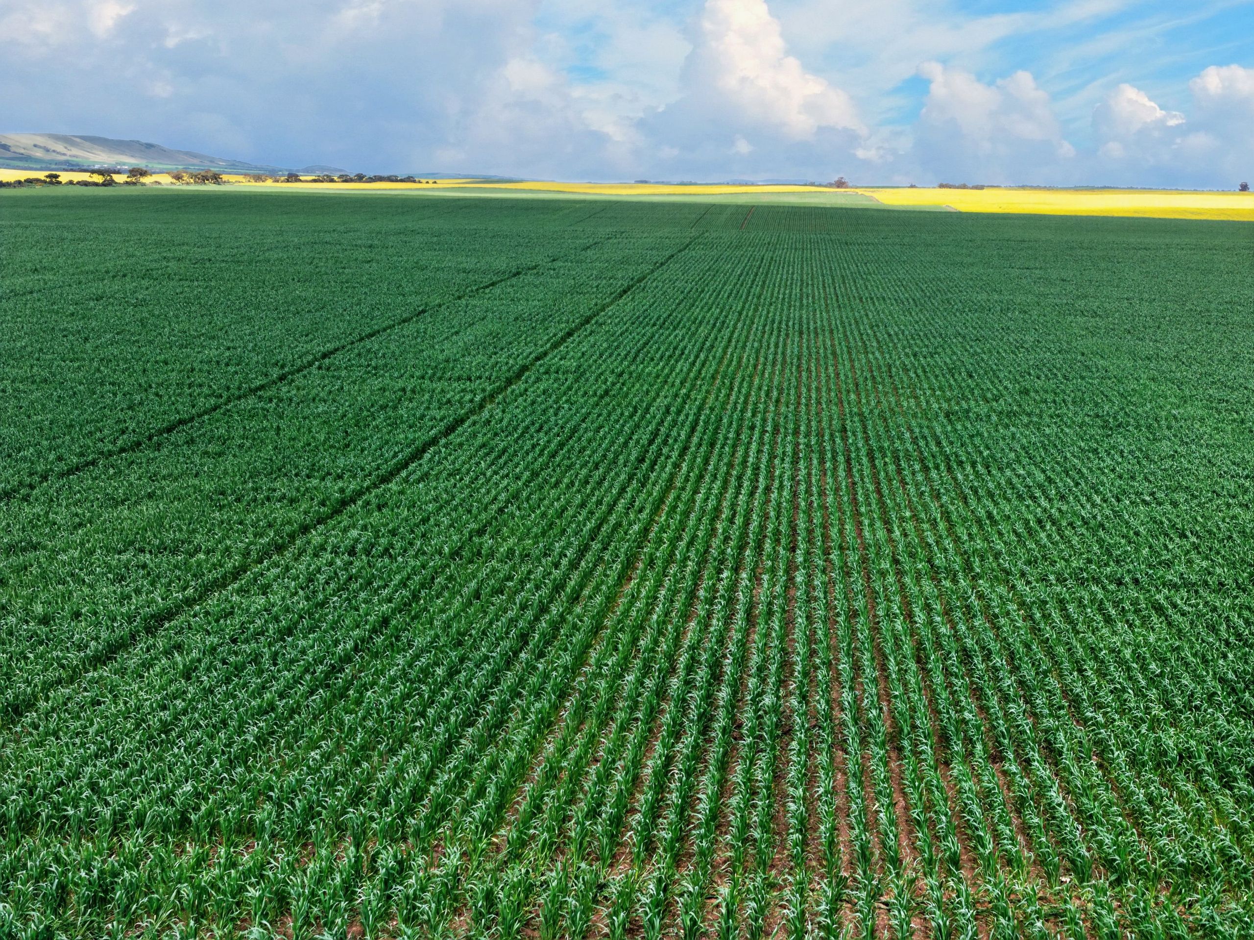'Barunga West' Tower View Road — photo from Ray White Rural South Australia