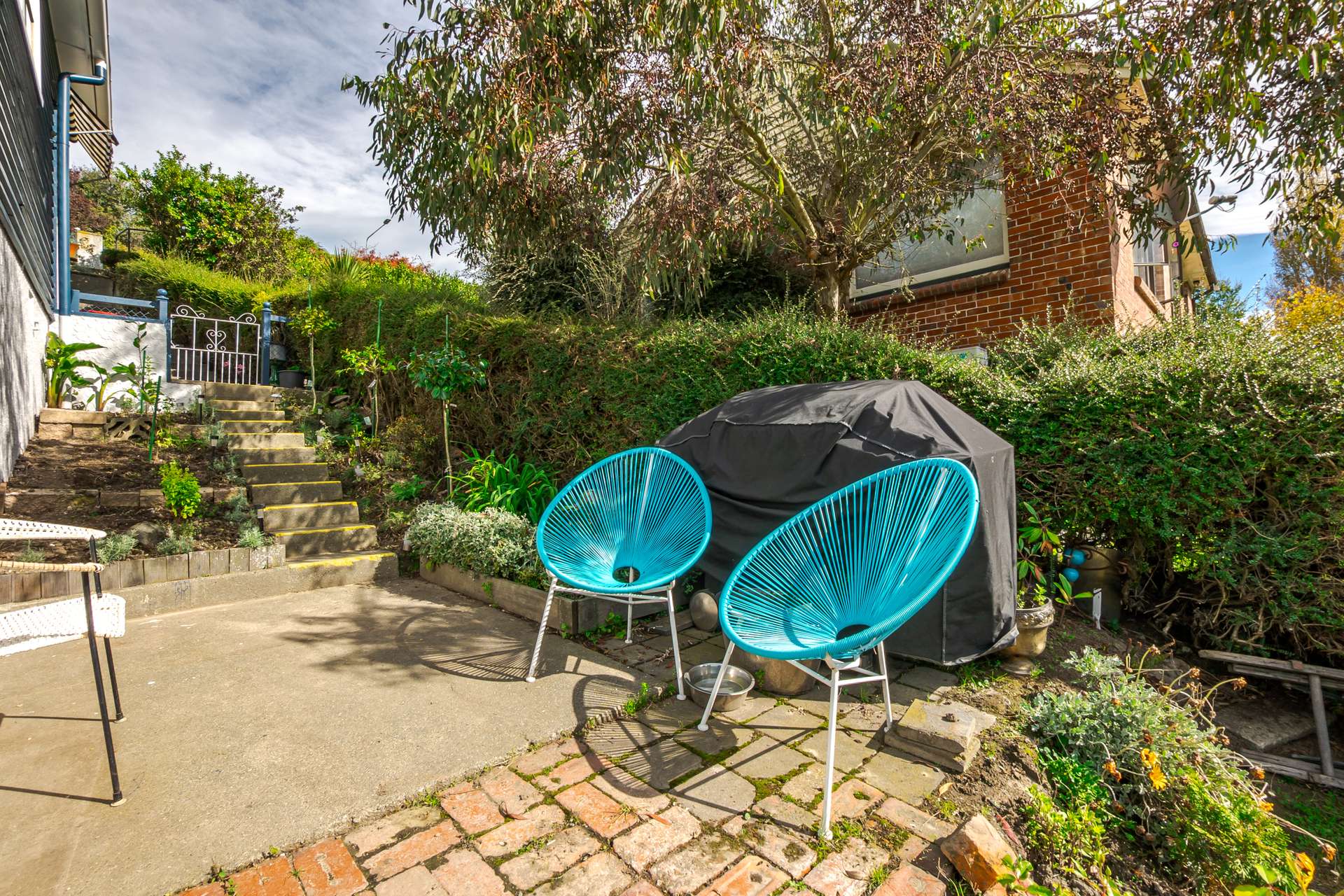 121 Douglas Street photo 17