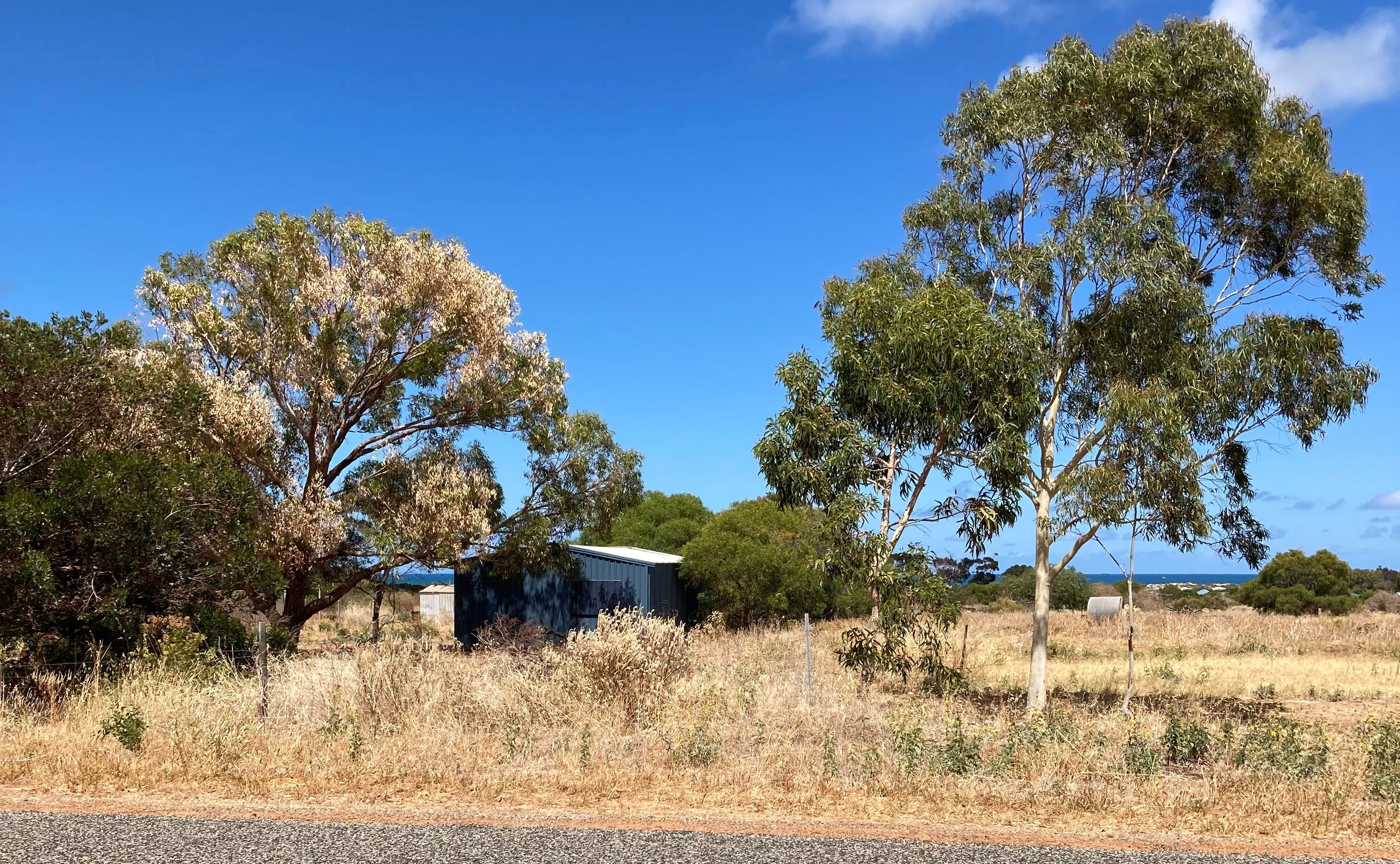 25 David Road, Waggrakine, WA 6530