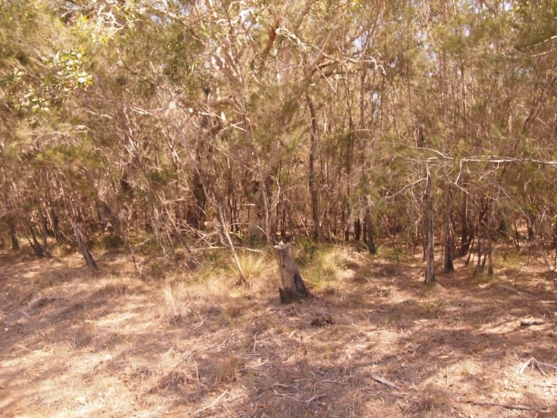 38 Ti Tree Rd East, Booral, QLD 4655