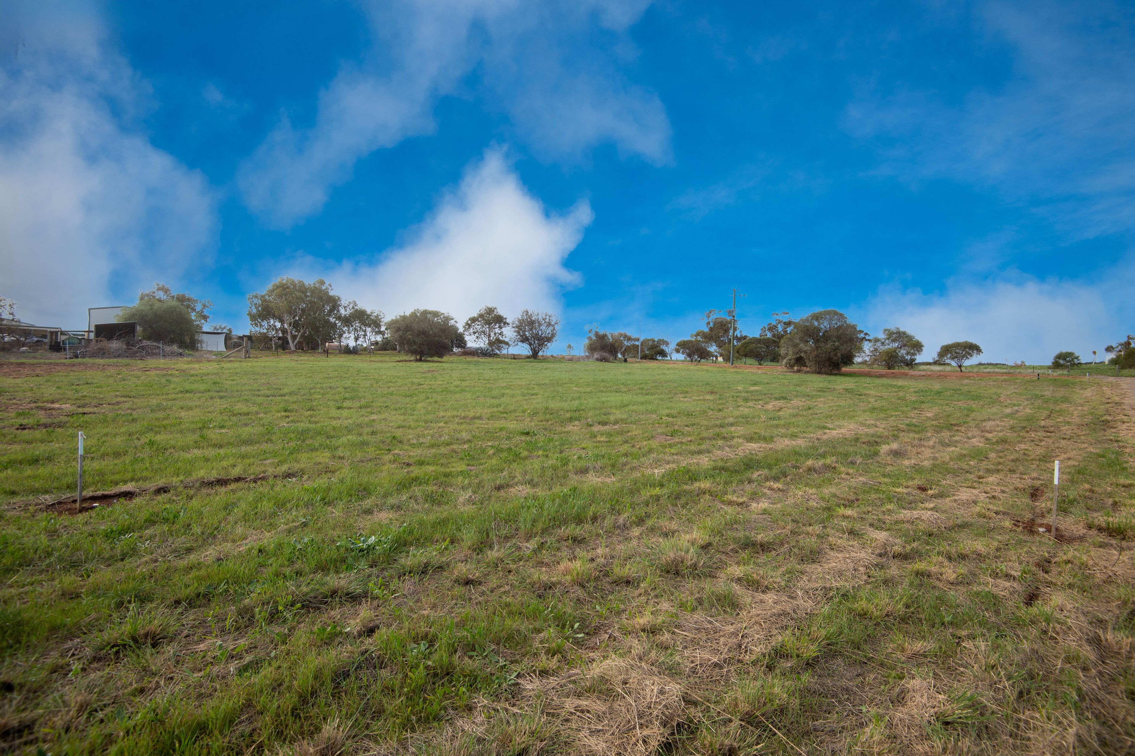 19 Forrest Street, Northampton, WA 6535