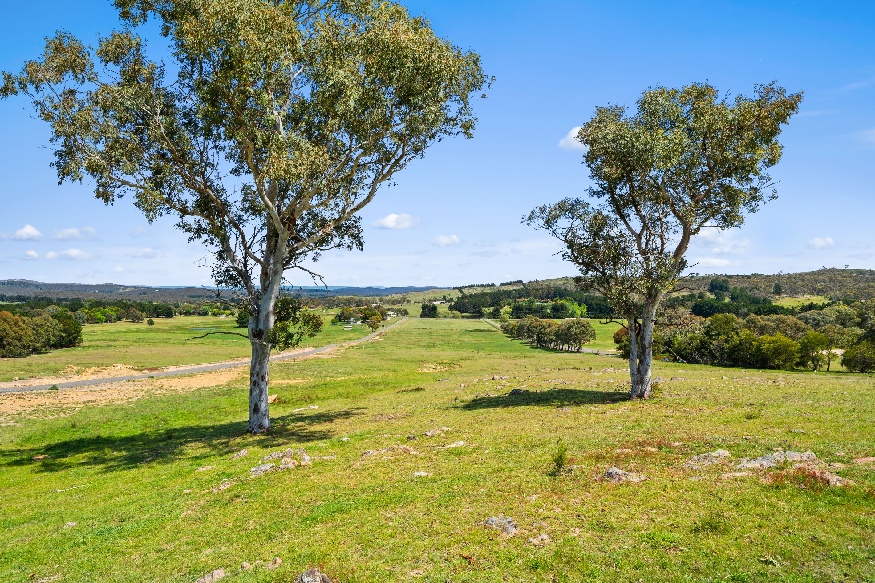 44 Weeroona Drive, WAMBOIN, NSW 2620