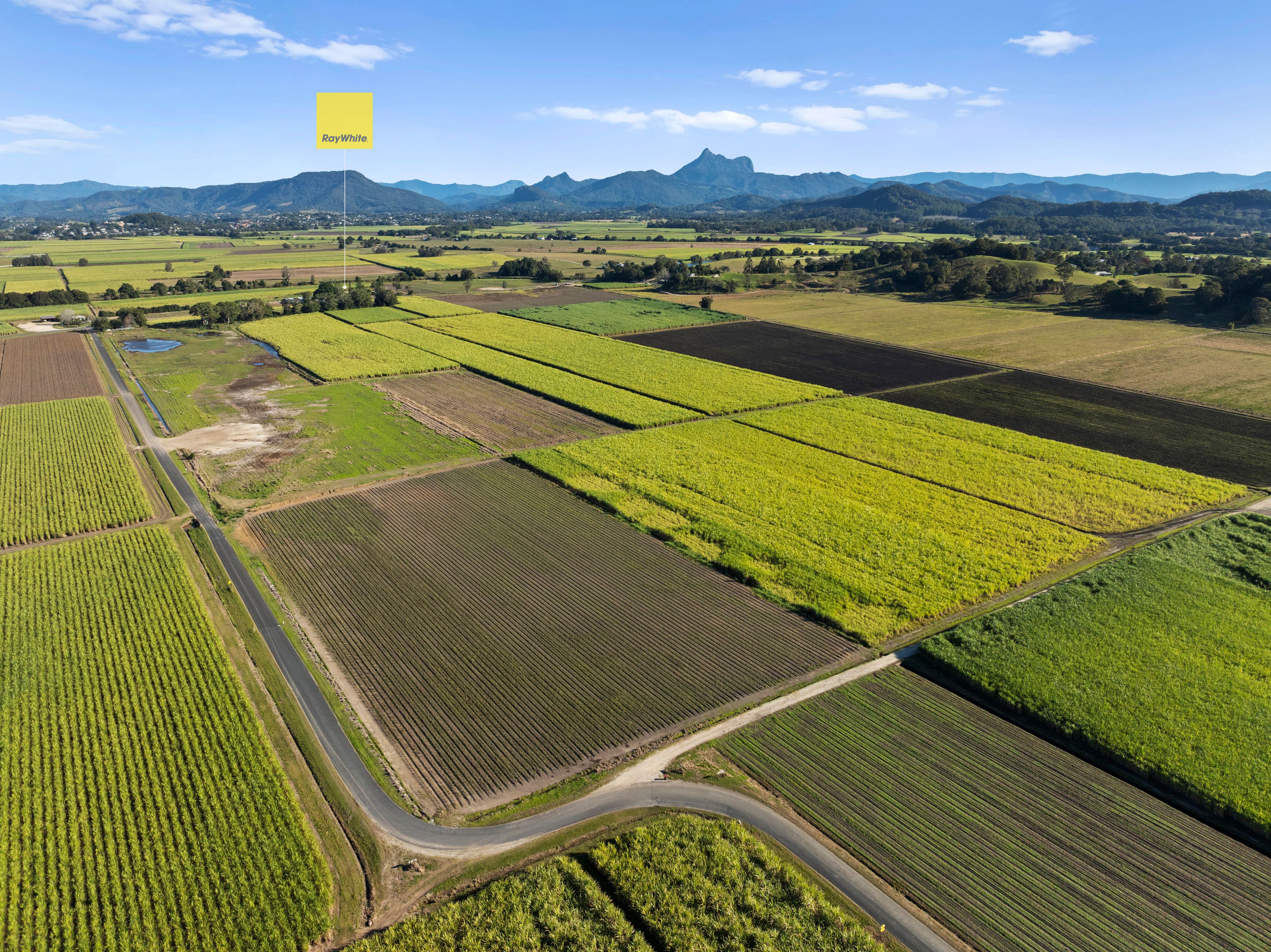 279 Dulguigan Road, Dulguigan, NSW 2484