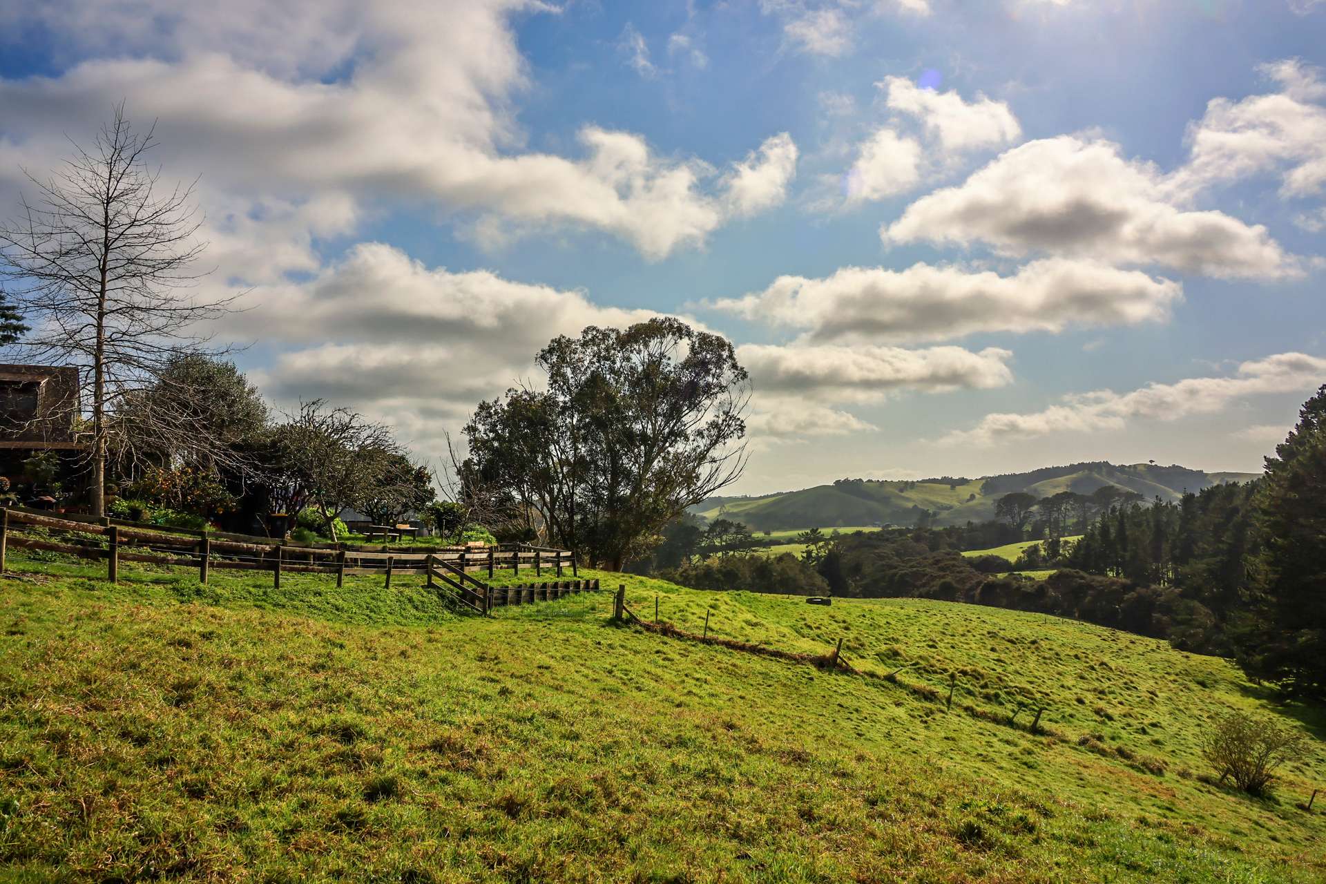 605 Whitford-Maraetai Road photo 5