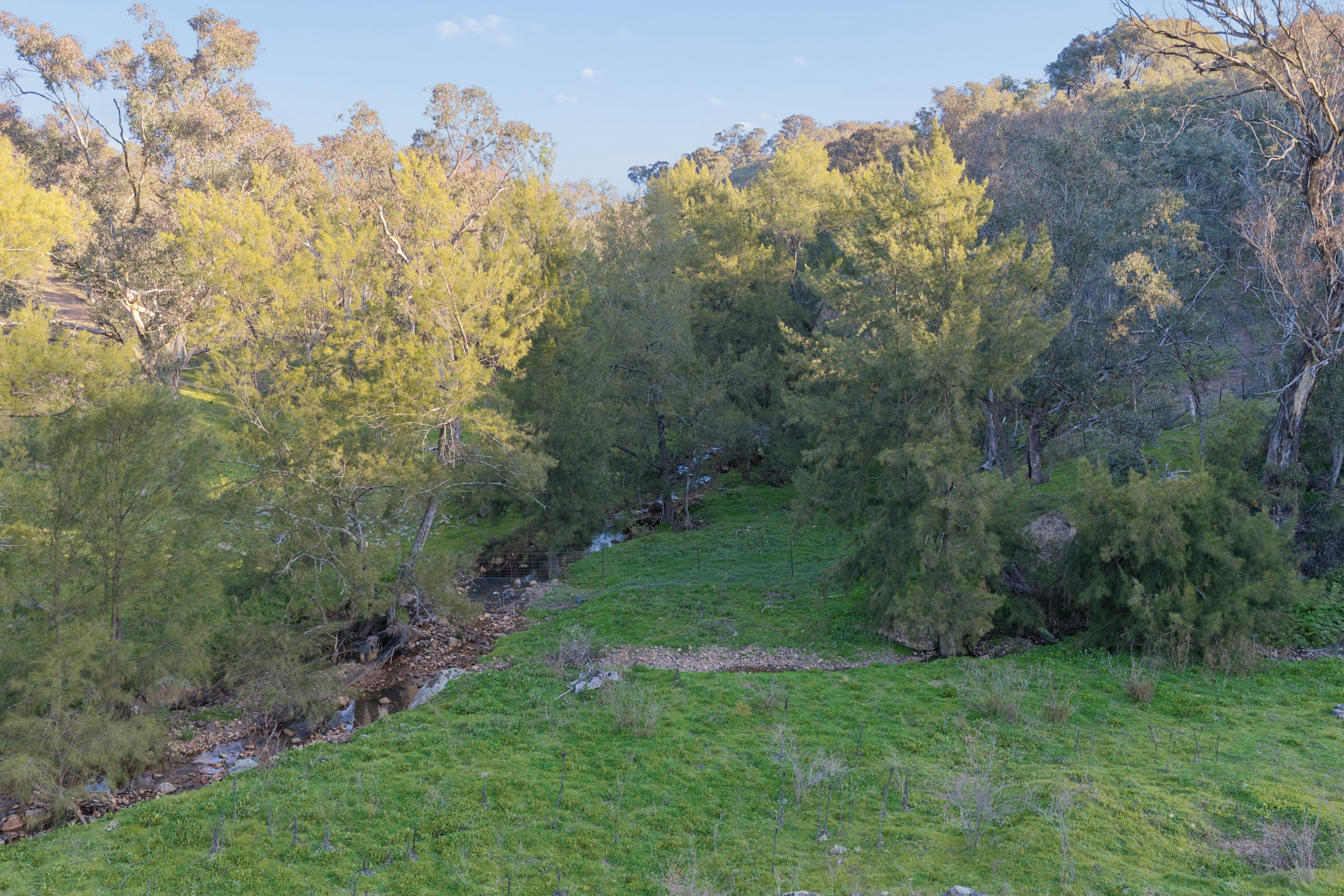 "Traquair", 426 Cavan Road — photo 11 of 22