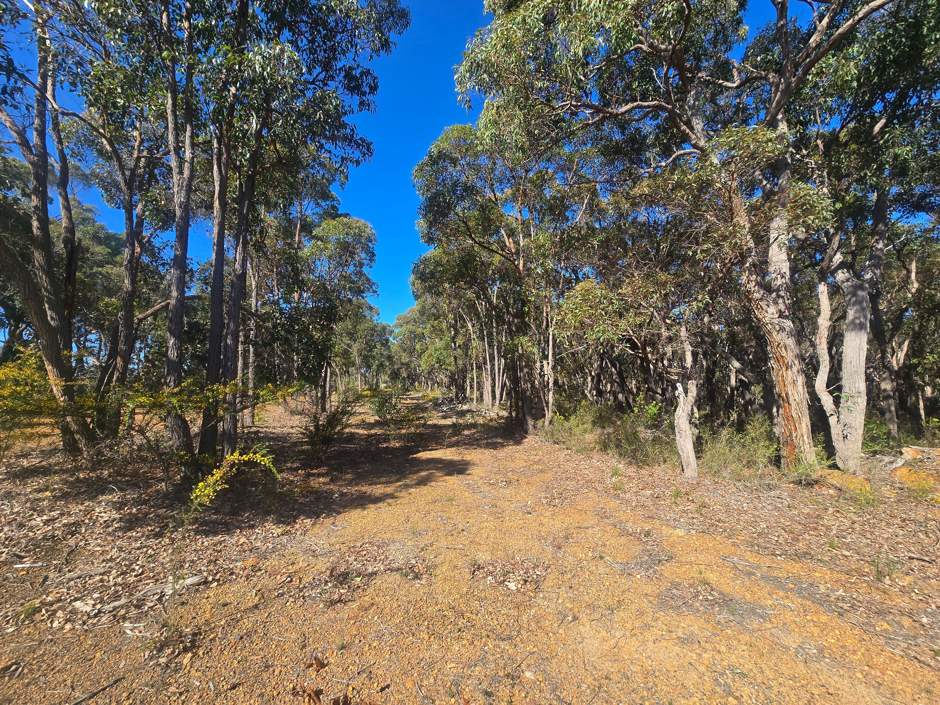 3 Dufty Place — photo 4 of 8