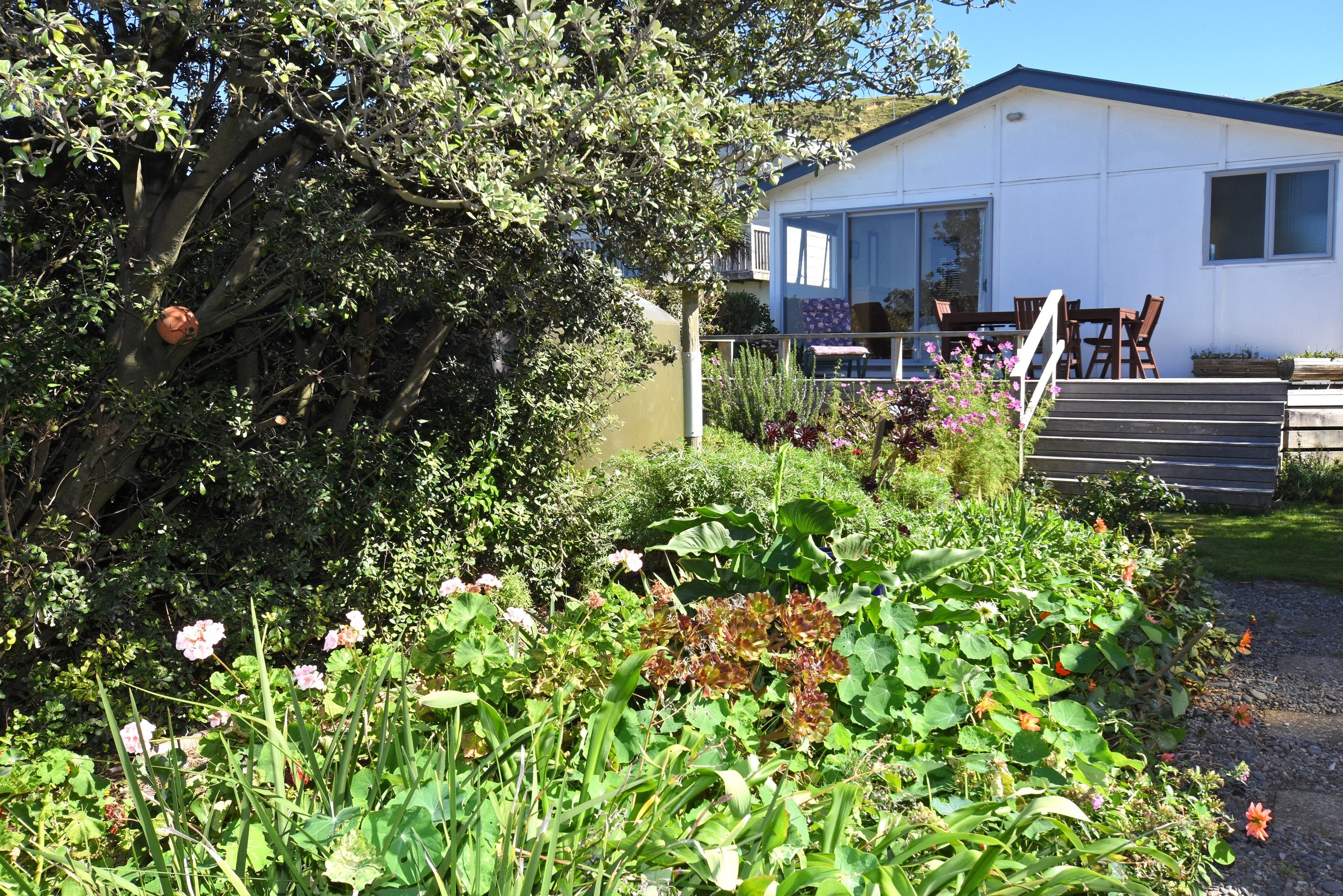 87a Whangaimoana Beach Road, Cape Palliser, South Wairarapa District
