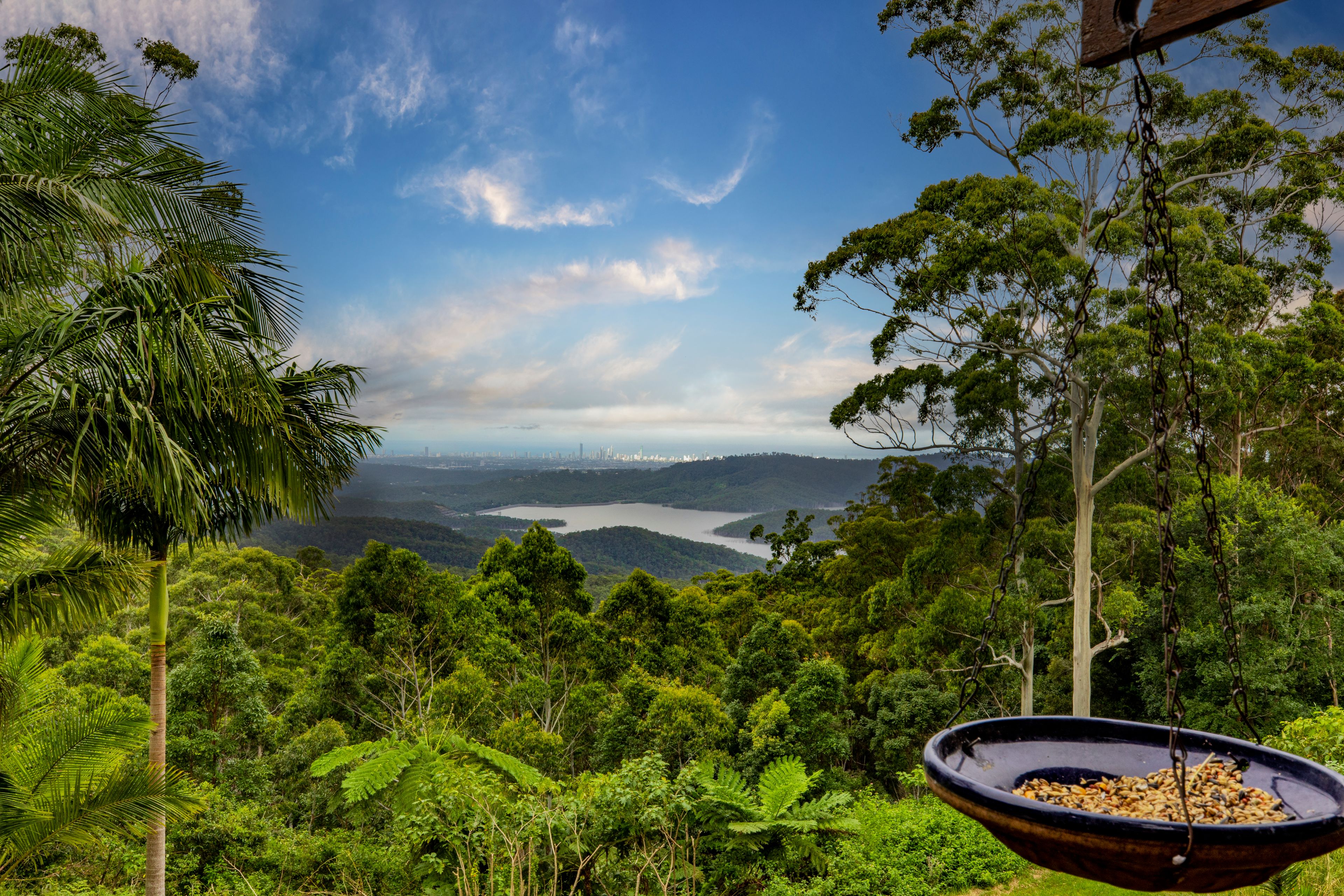3 Ingham Street, Lower Beechmont, QLD 4211