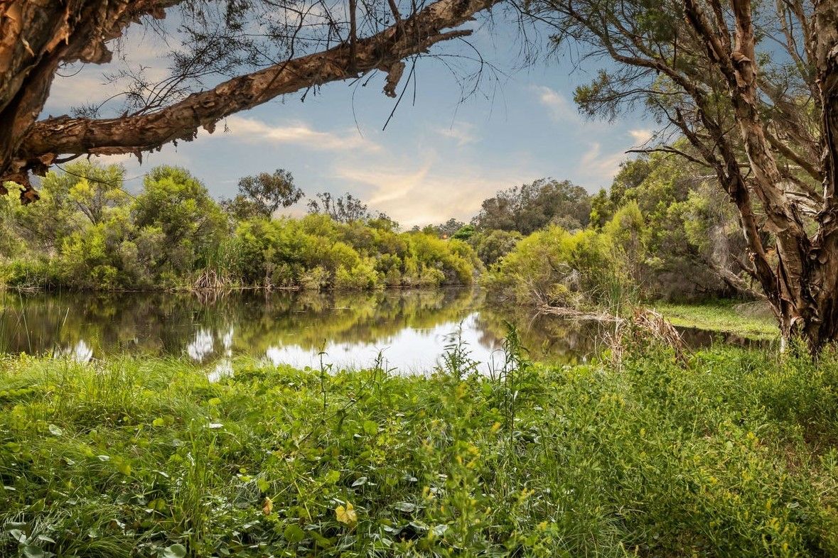 16 Porcelain Way, Balcatta, WA 6021 - Sold Land - Ray White Dethridge ...
