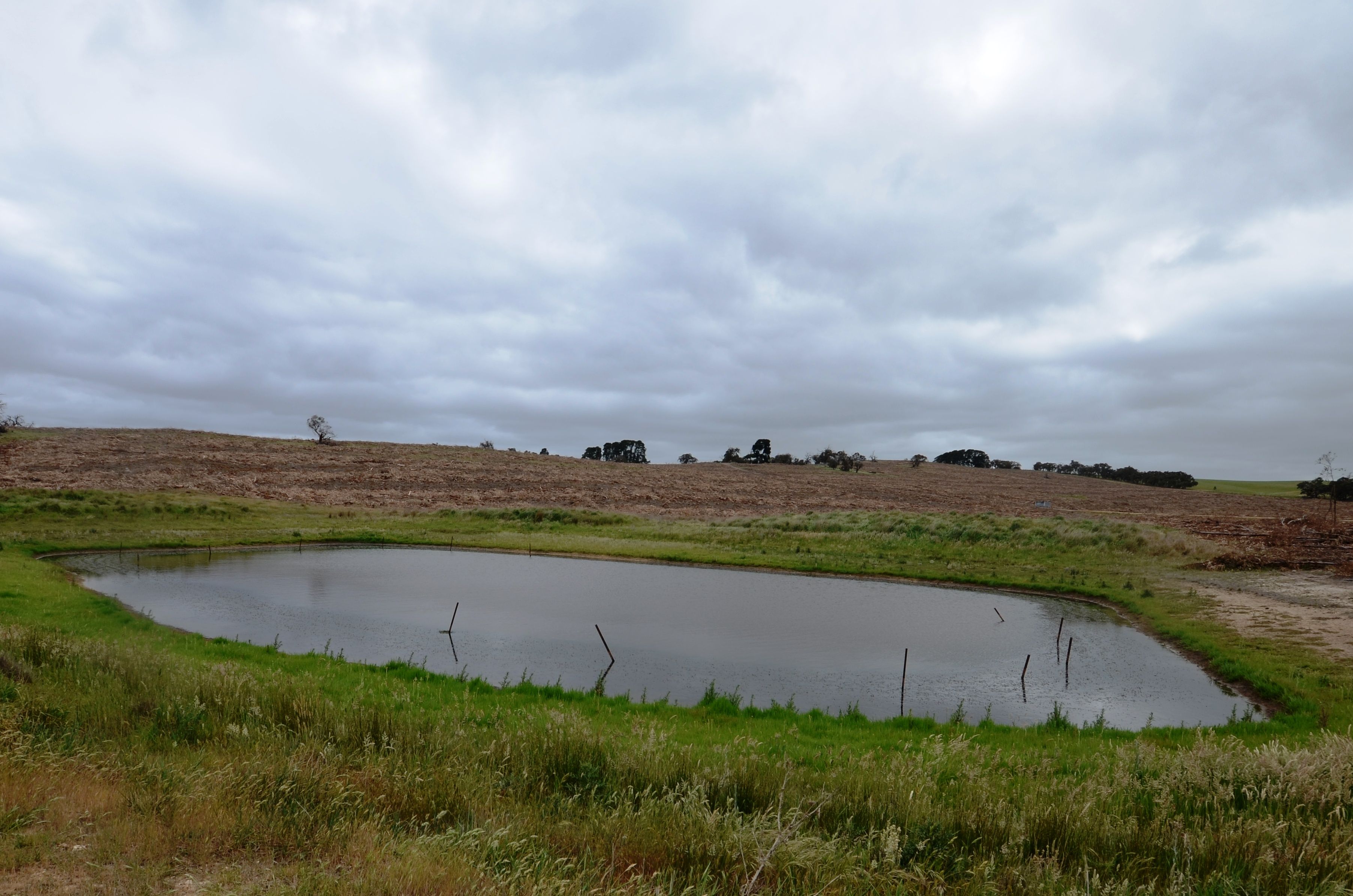 Lot 1 "Curlewis" Ellis Road, BEAUFORT, VIC 3373