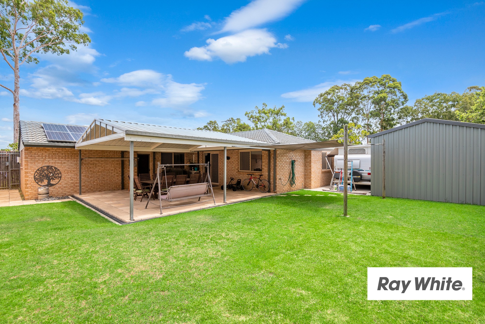2 pinaster, Forest Lake, QLD 4078