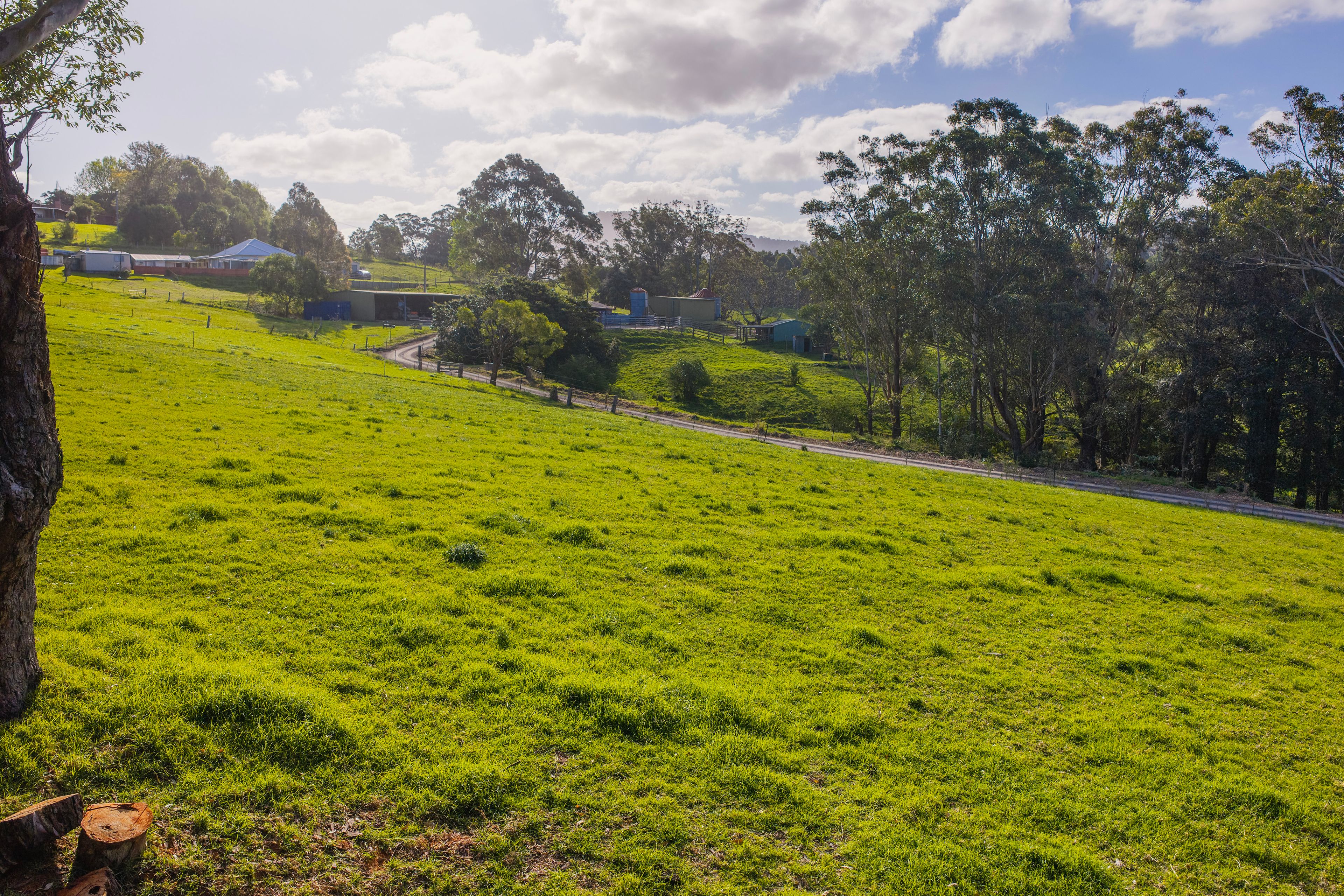 'Athelglow' A200B Princes Highway — photo 13 of 23