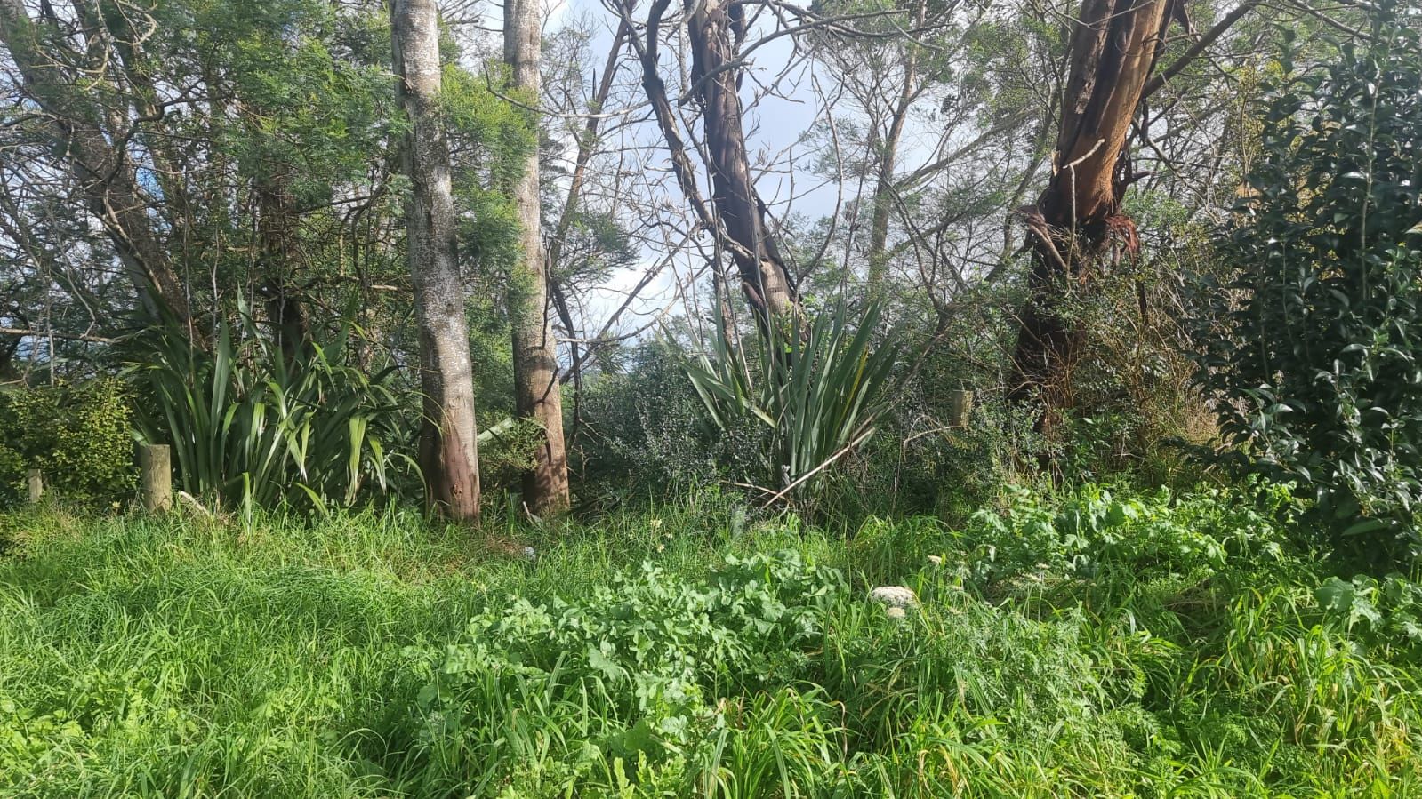 32 Tiriwa Drive, Massey, Waitakere City