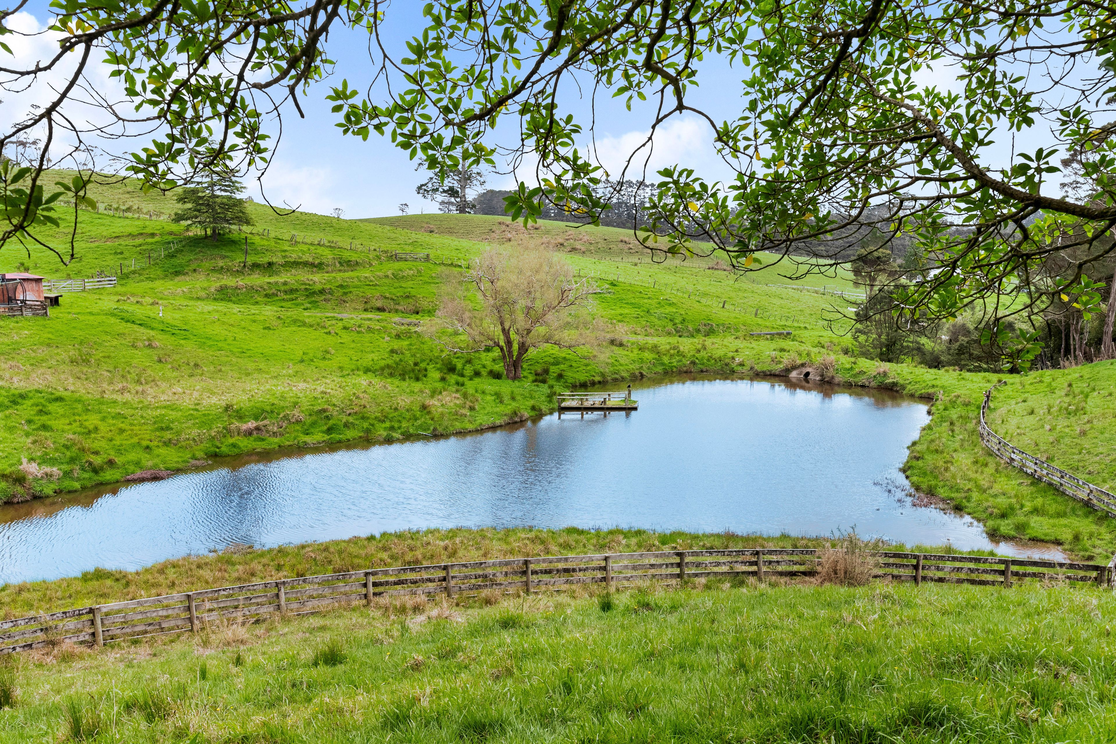 197 Forest Hill Road, Waiatarua, Waitakere City