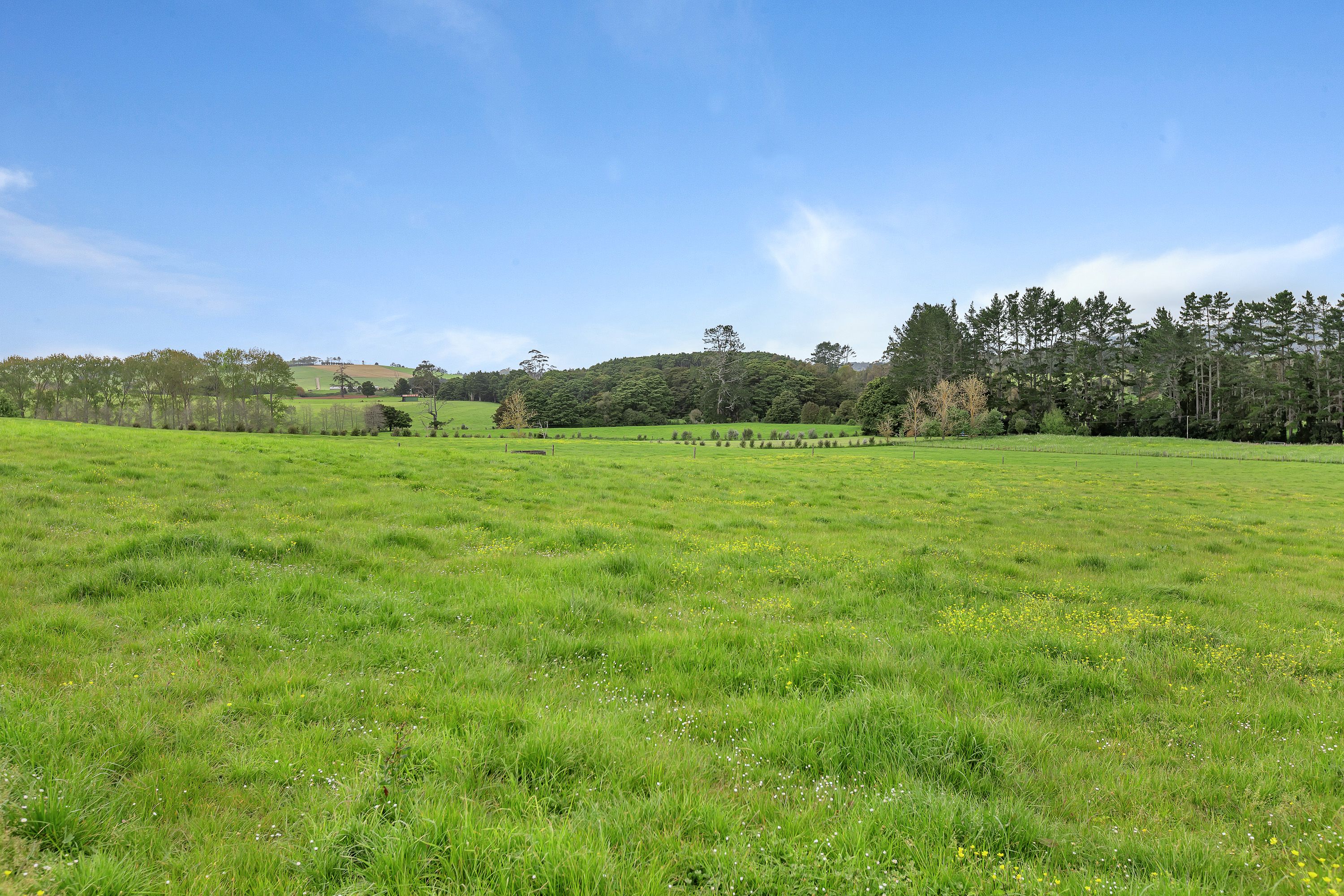 947 Kokopu Road, Kokopu, Whangarei District 0179 Sold Rural Dairy