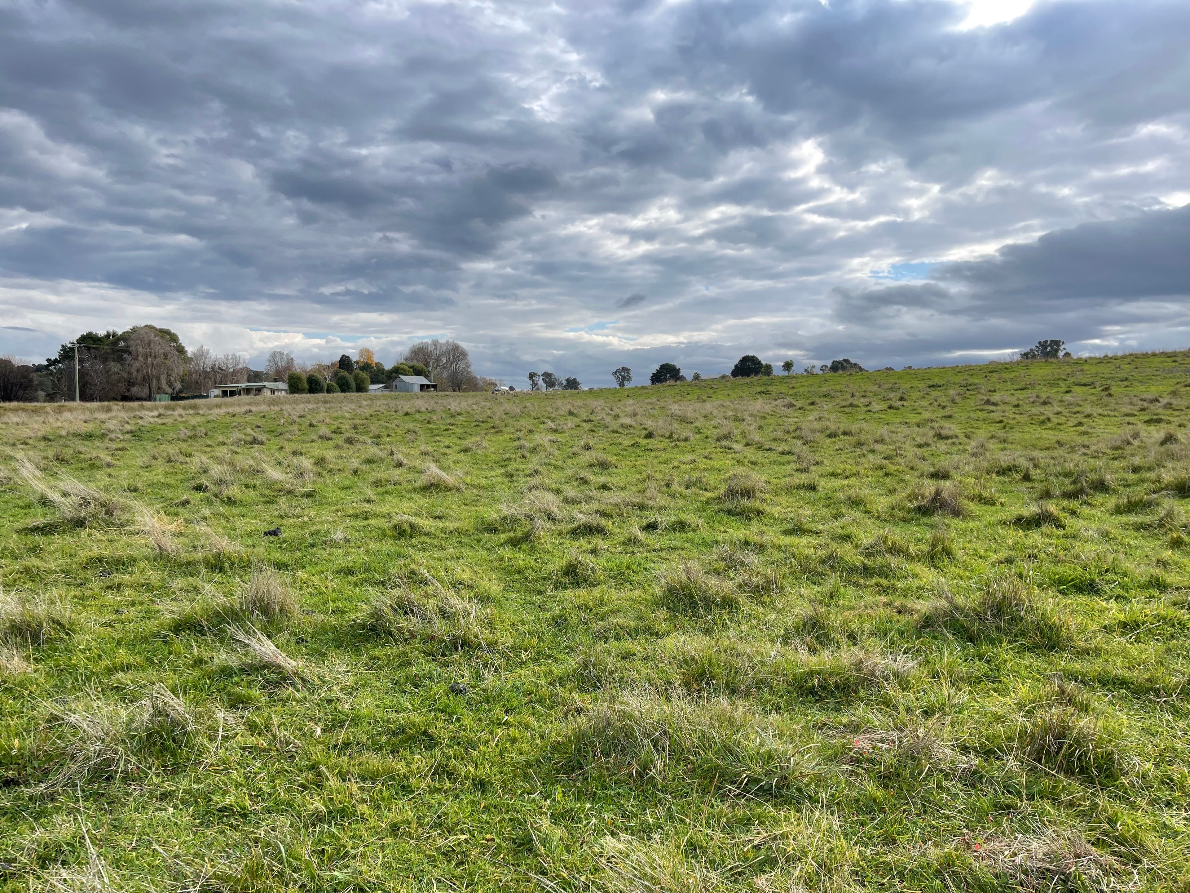 Lot 138 Chisholm Street, Tumbarumba, NSW 2653 Land for Sale Ray