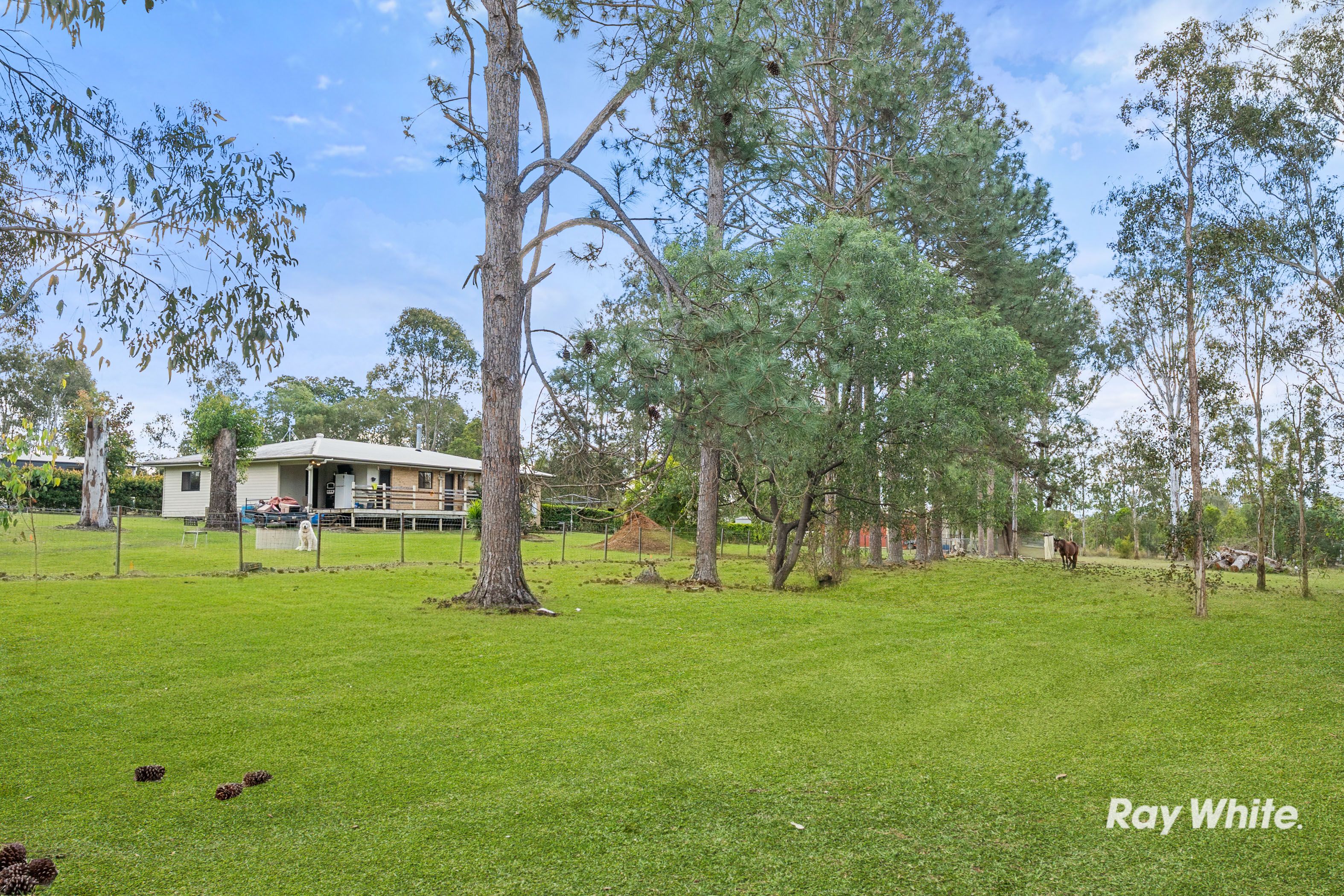 2051 Beaudesert - Beenleigh Road — photo 18 of 26