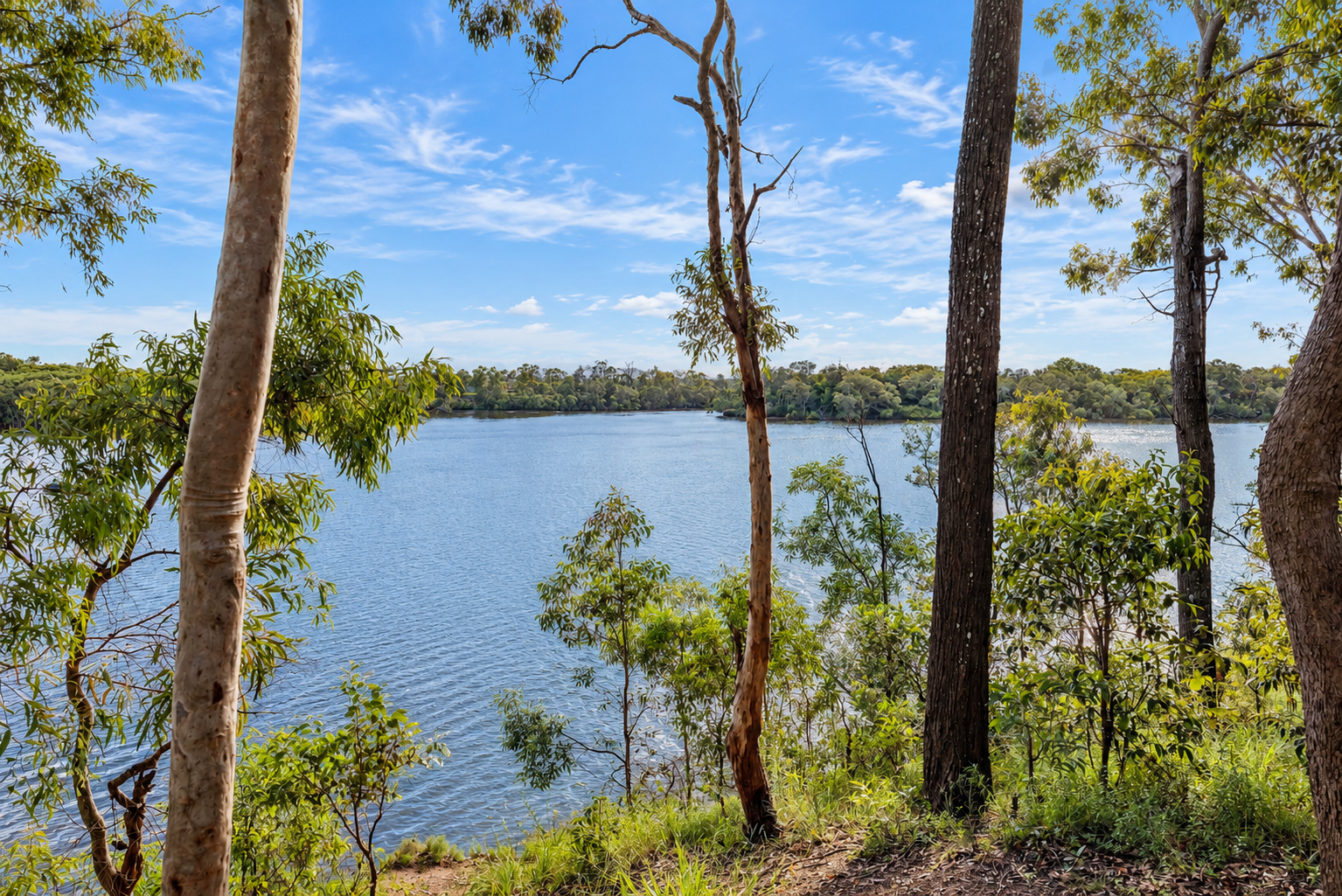 6 Neales Street — photo 17 of 17