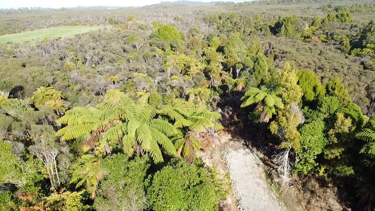 Lot 5 Wilsons Lead Road, Cape Foulwind, Buller District