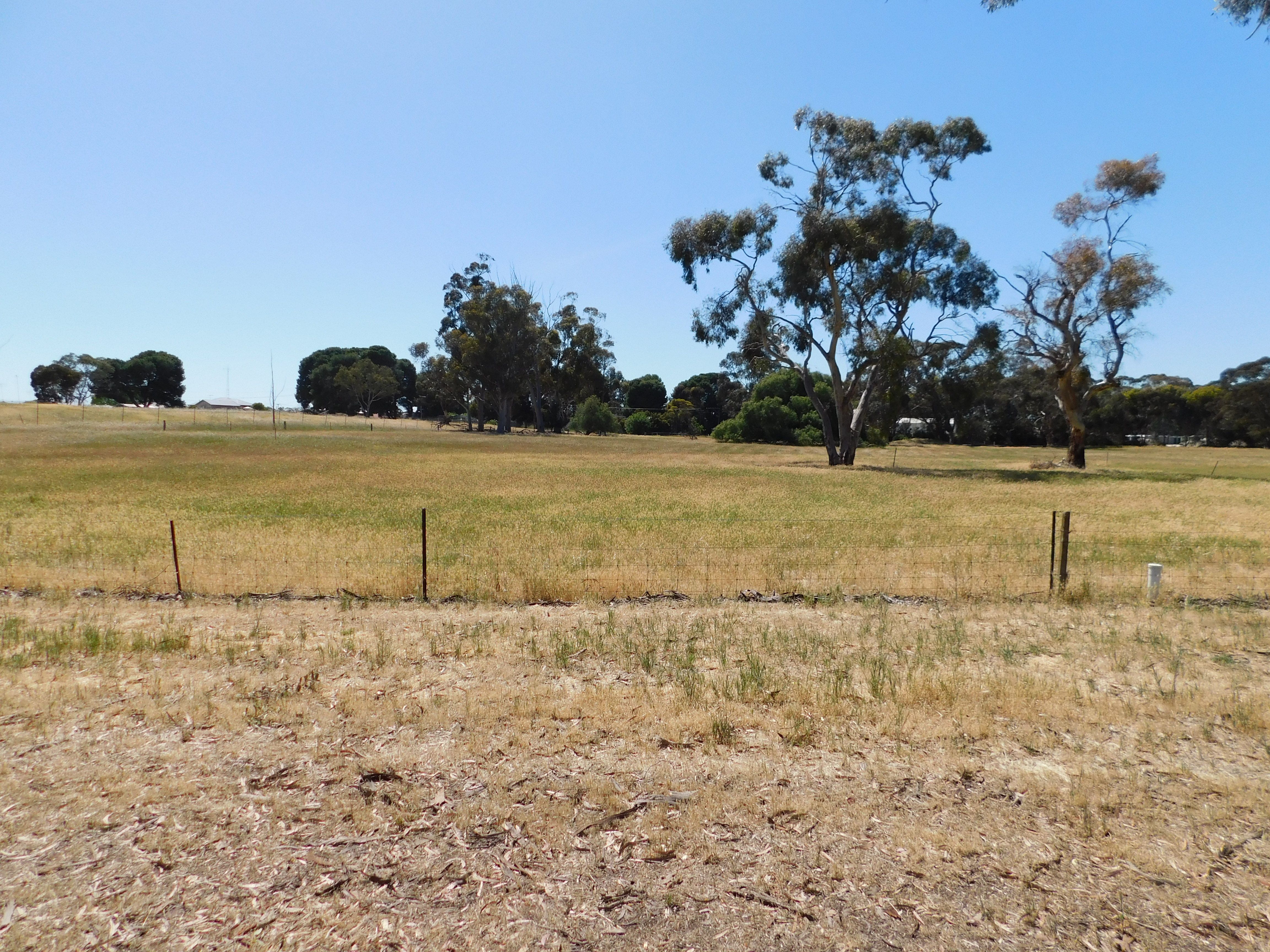2 Western Drive, Bordertown, SA 5268 Land for Sale Ray White