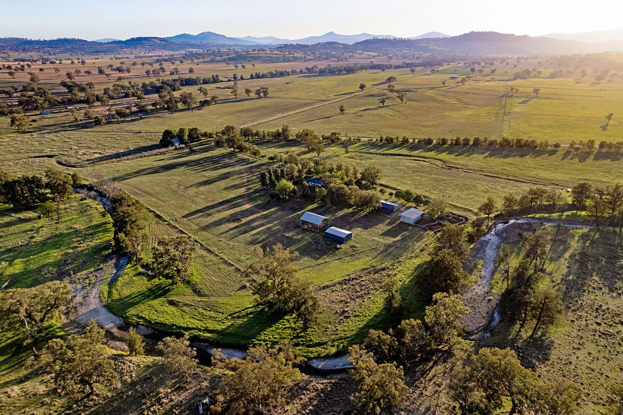 Rural for sale in Scone and nearby Ray White Rural Scone