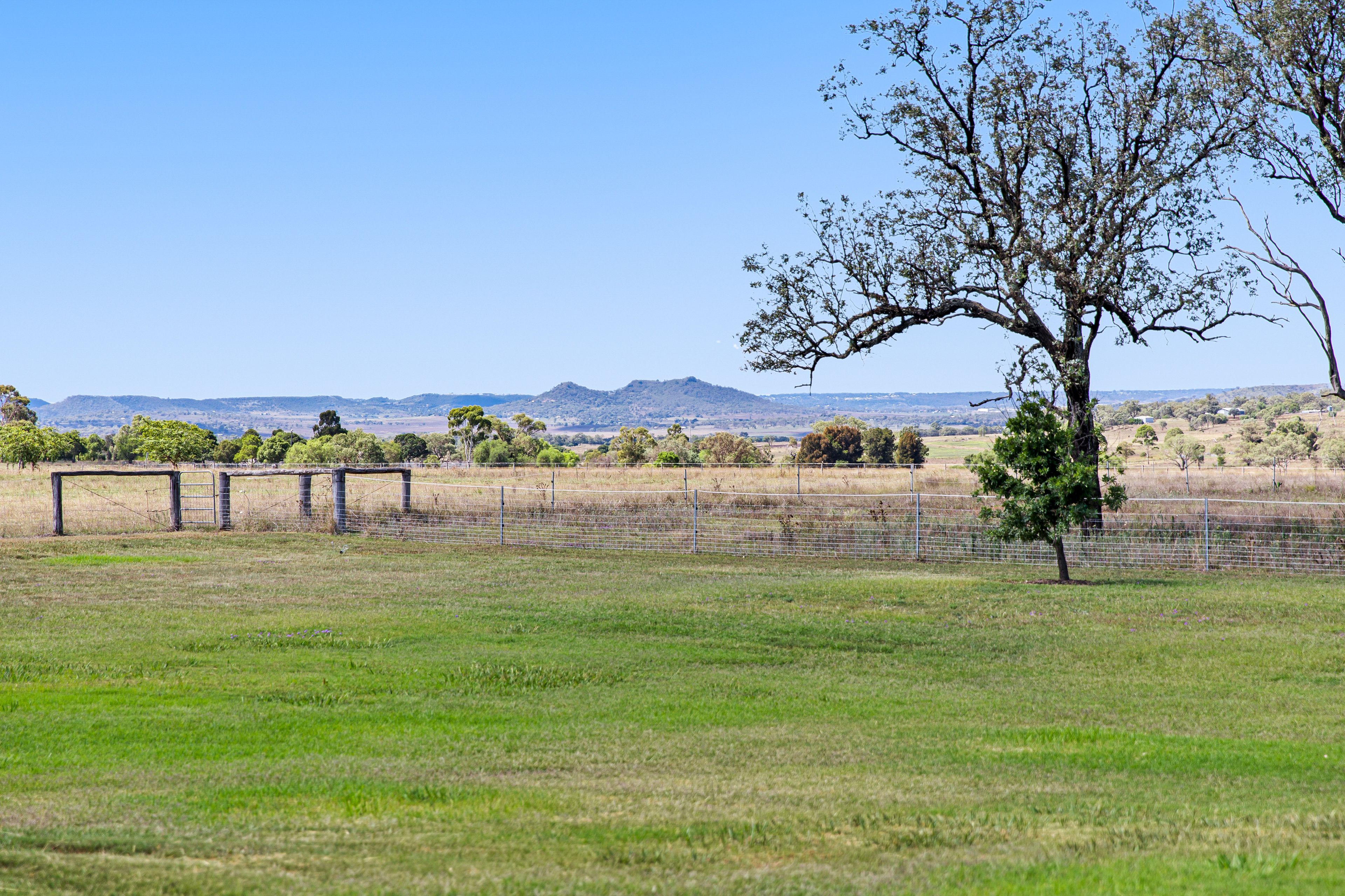 339 Biddeston Southbrook Road, Biddeston, QLD 4401 Sold Rural