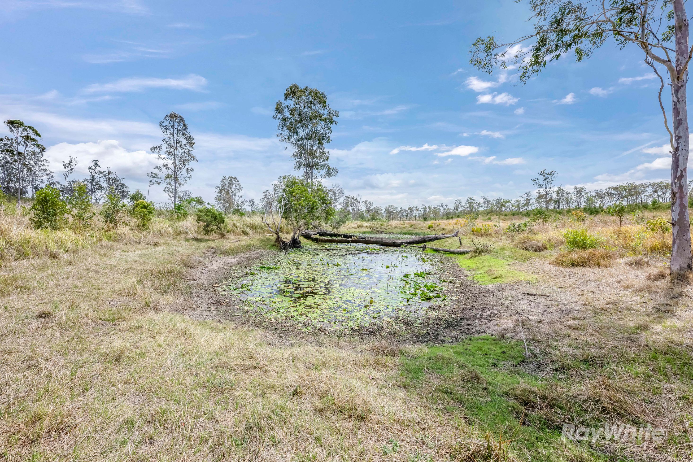 Lot 43 Moolyung Road — photo 20 of 29