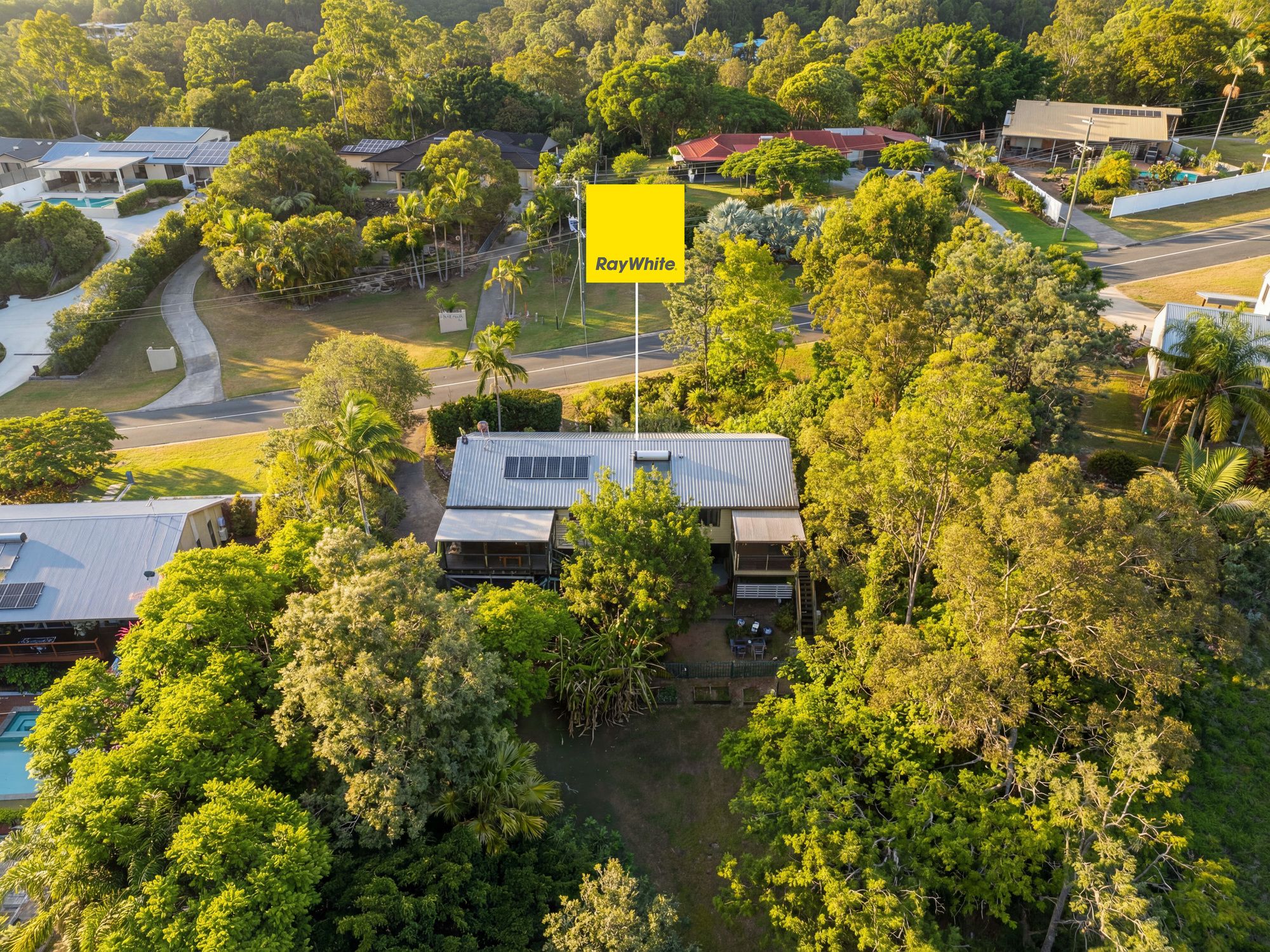 93 Bridgman Drive, Reedy Creek, QLD 4227