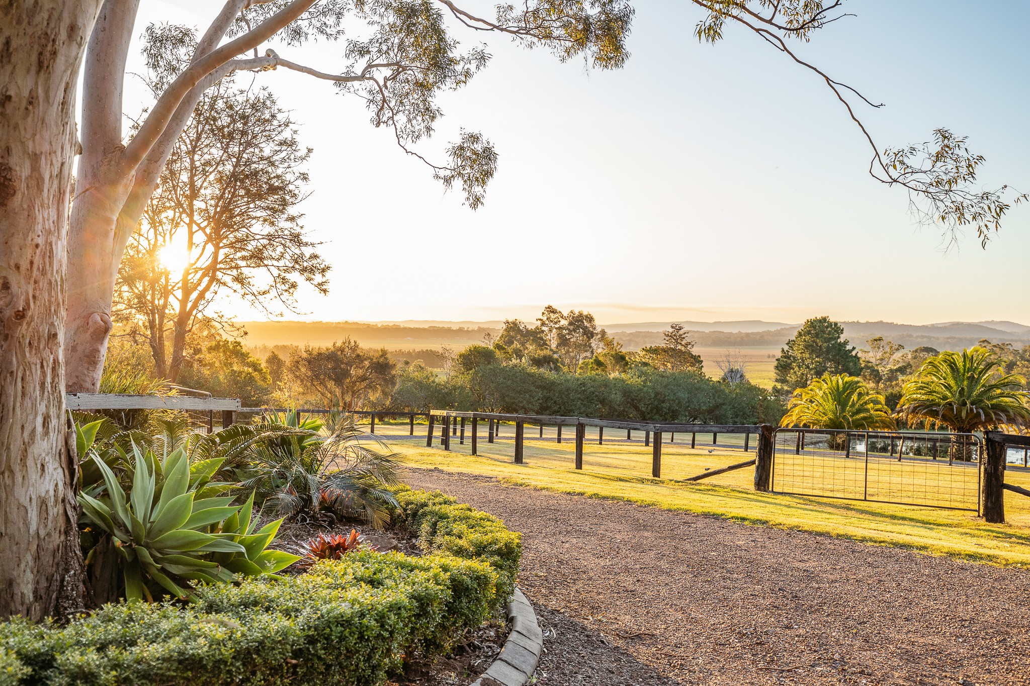 9 Warrigal Close, Brandy Hill, NSW 2324
