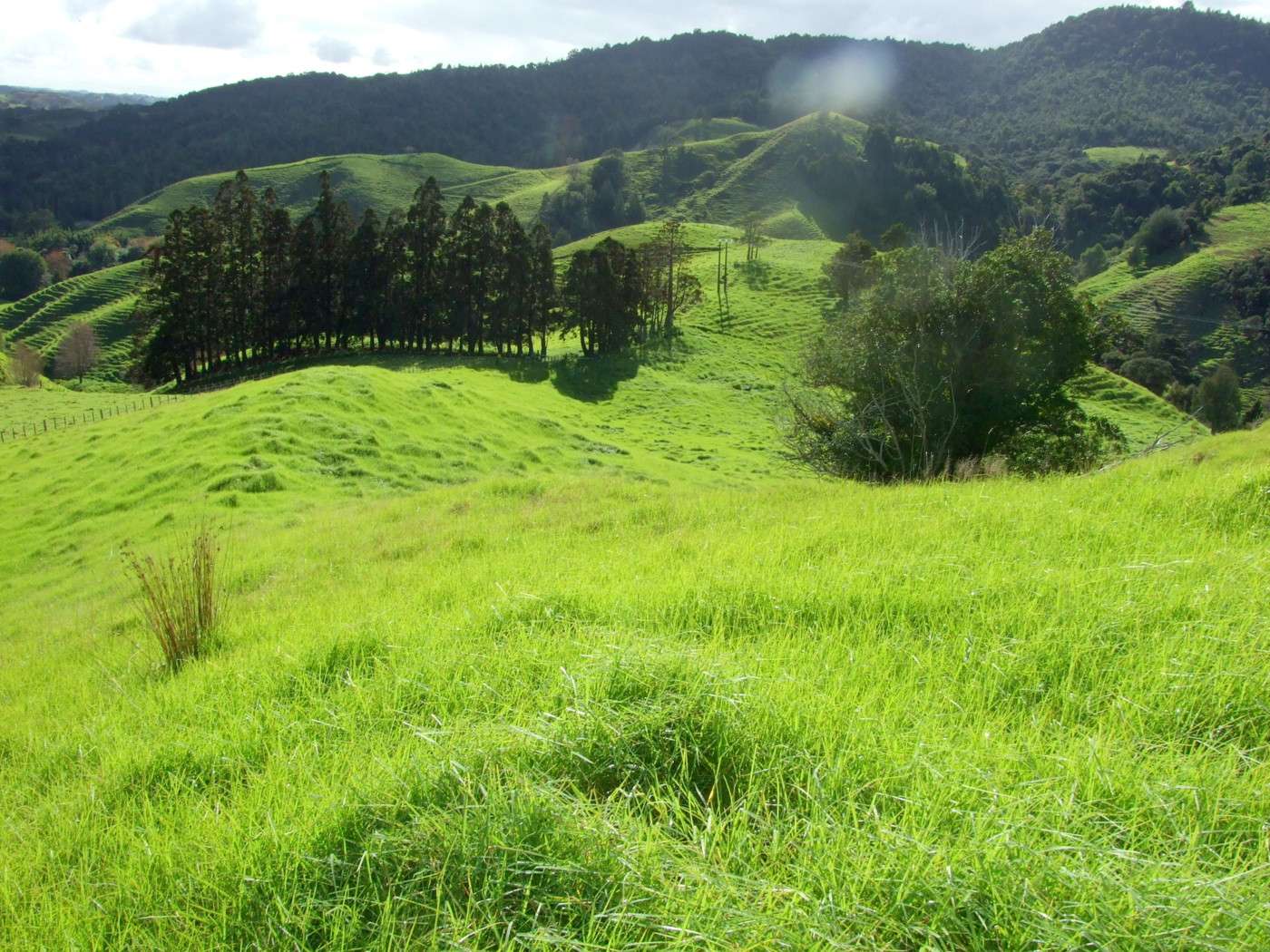 185 Takahue Saddle Road photo 6