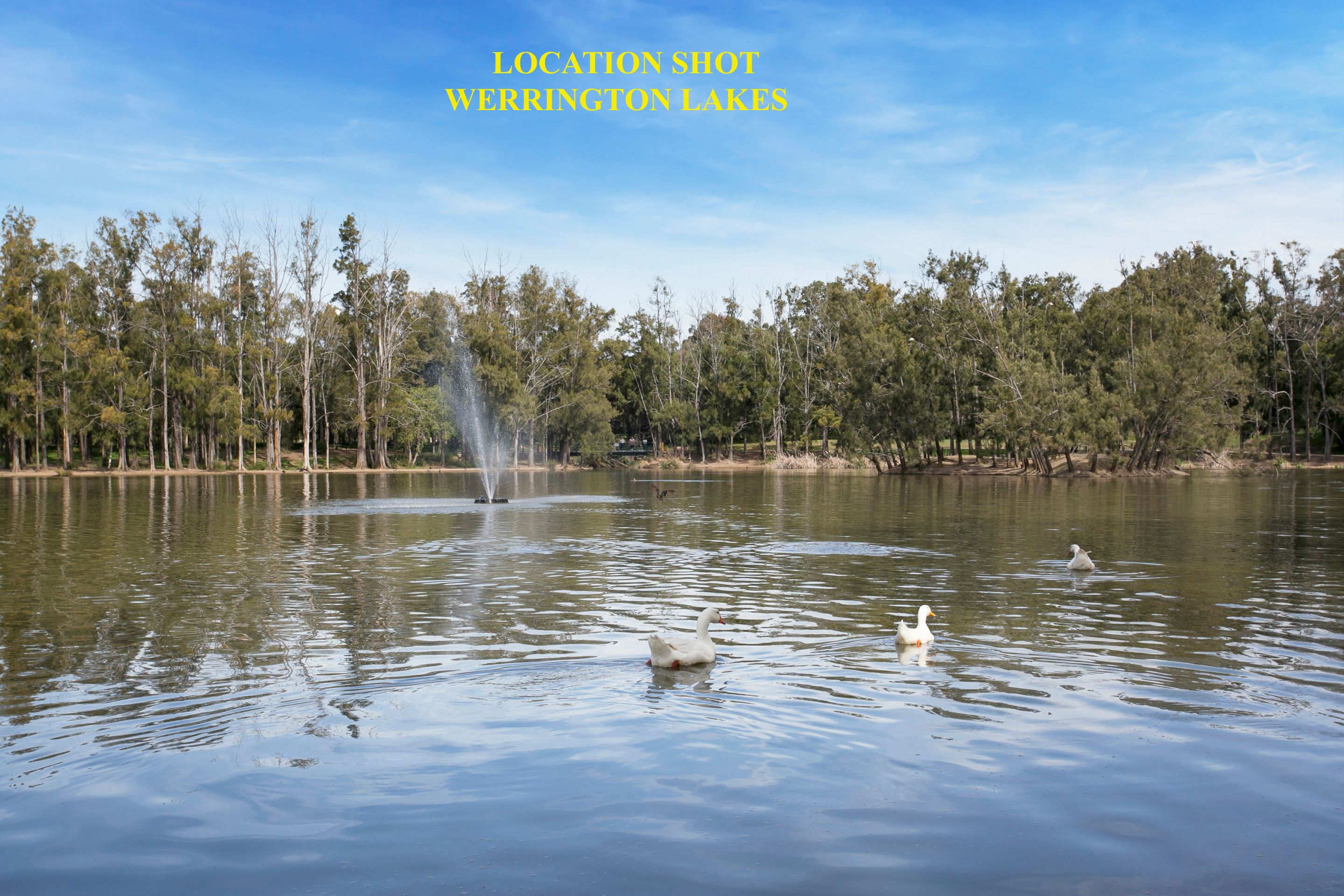 37 William Street, Cambridge Park, NSW