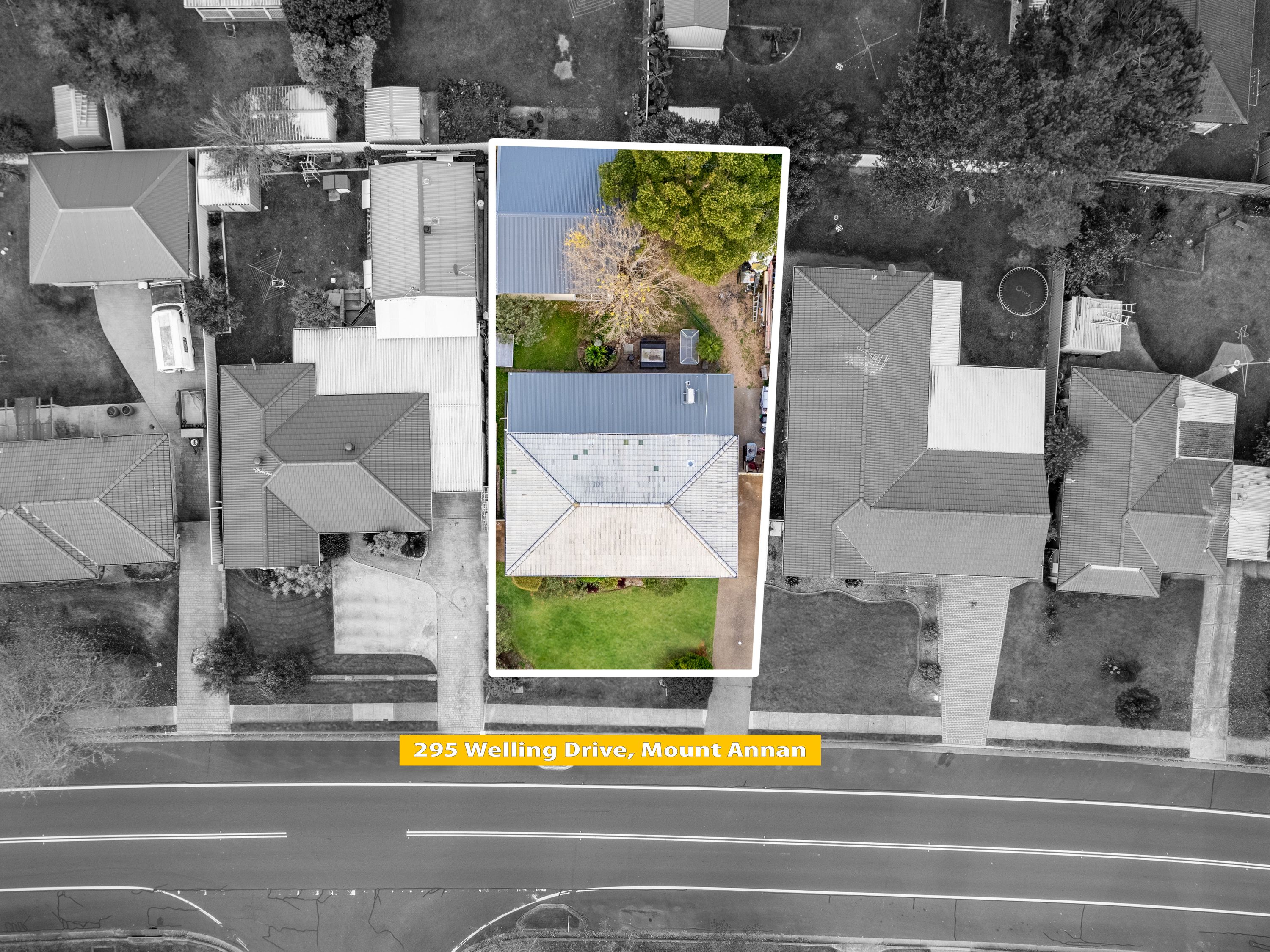 295 welling Drive, Mount Annan, NSW 2567
