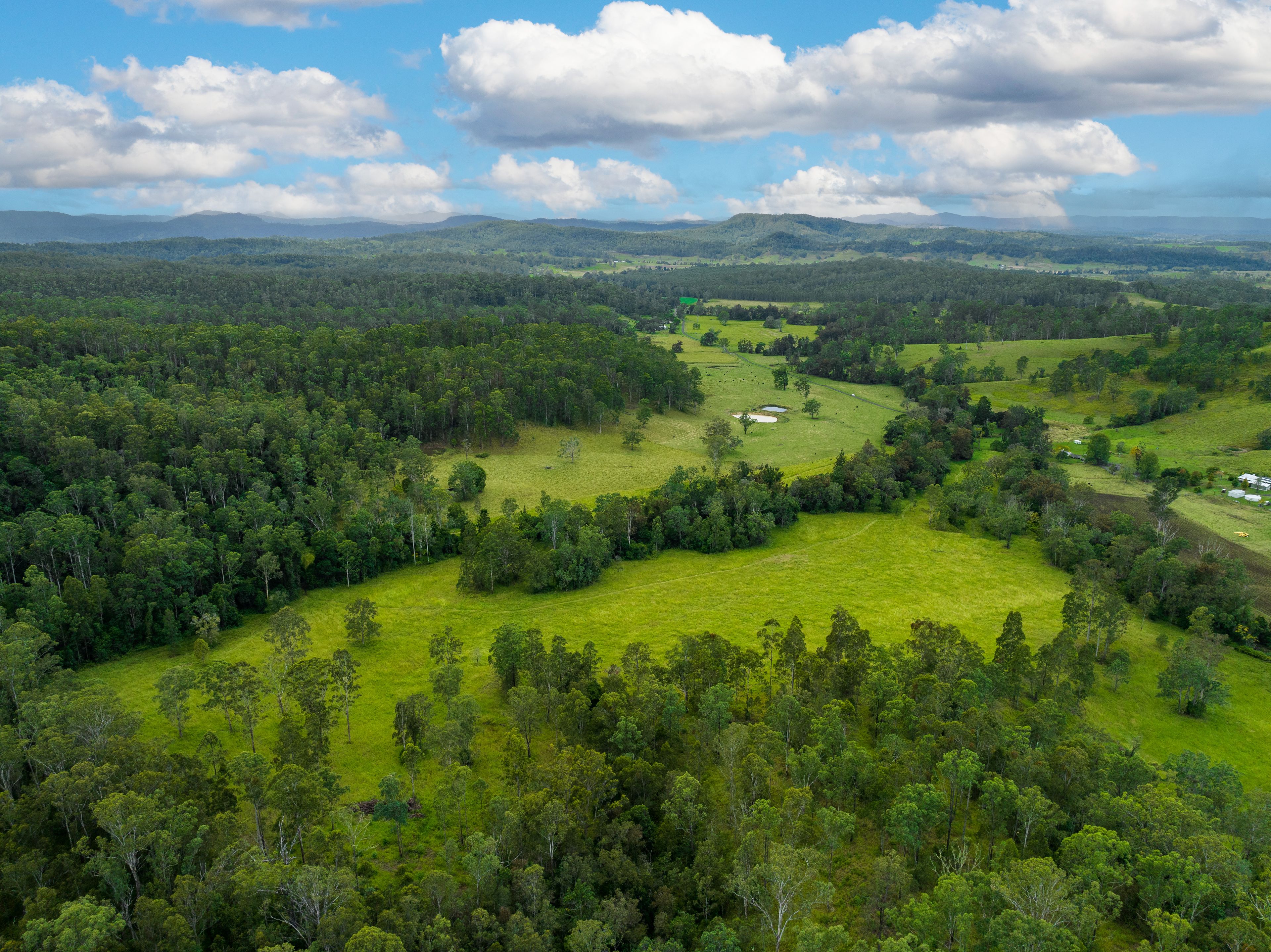 Casino, NSW 2470 Rural Property for Sale Ray White Gibbon Property